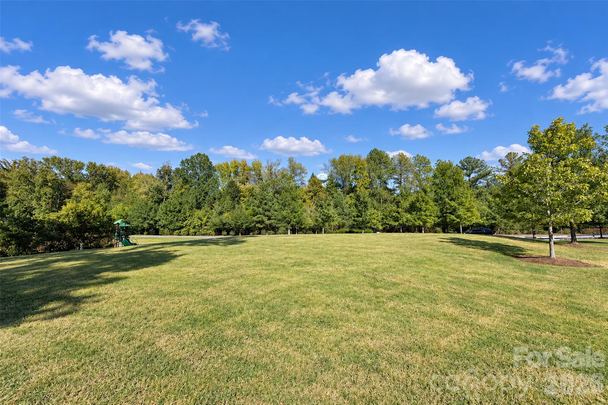 11406 Rising Star Court Property Photo 34