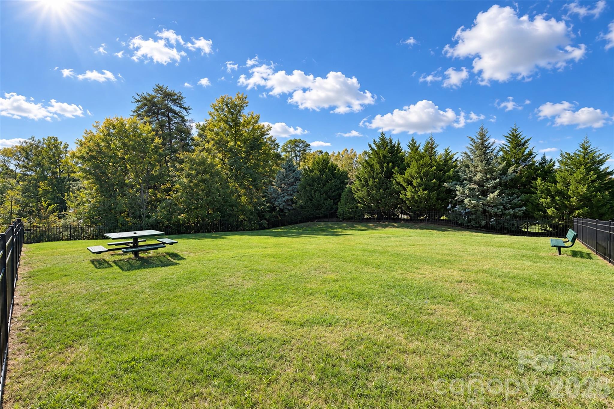 11406 Rising Star Court Property Photo 38