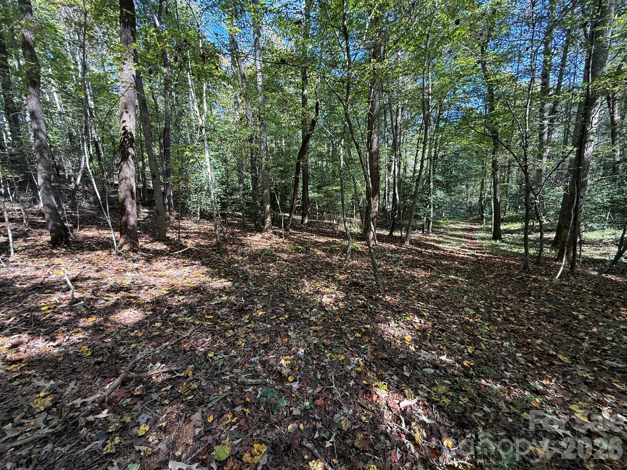 V/l Secluded Circle Property Photo 18