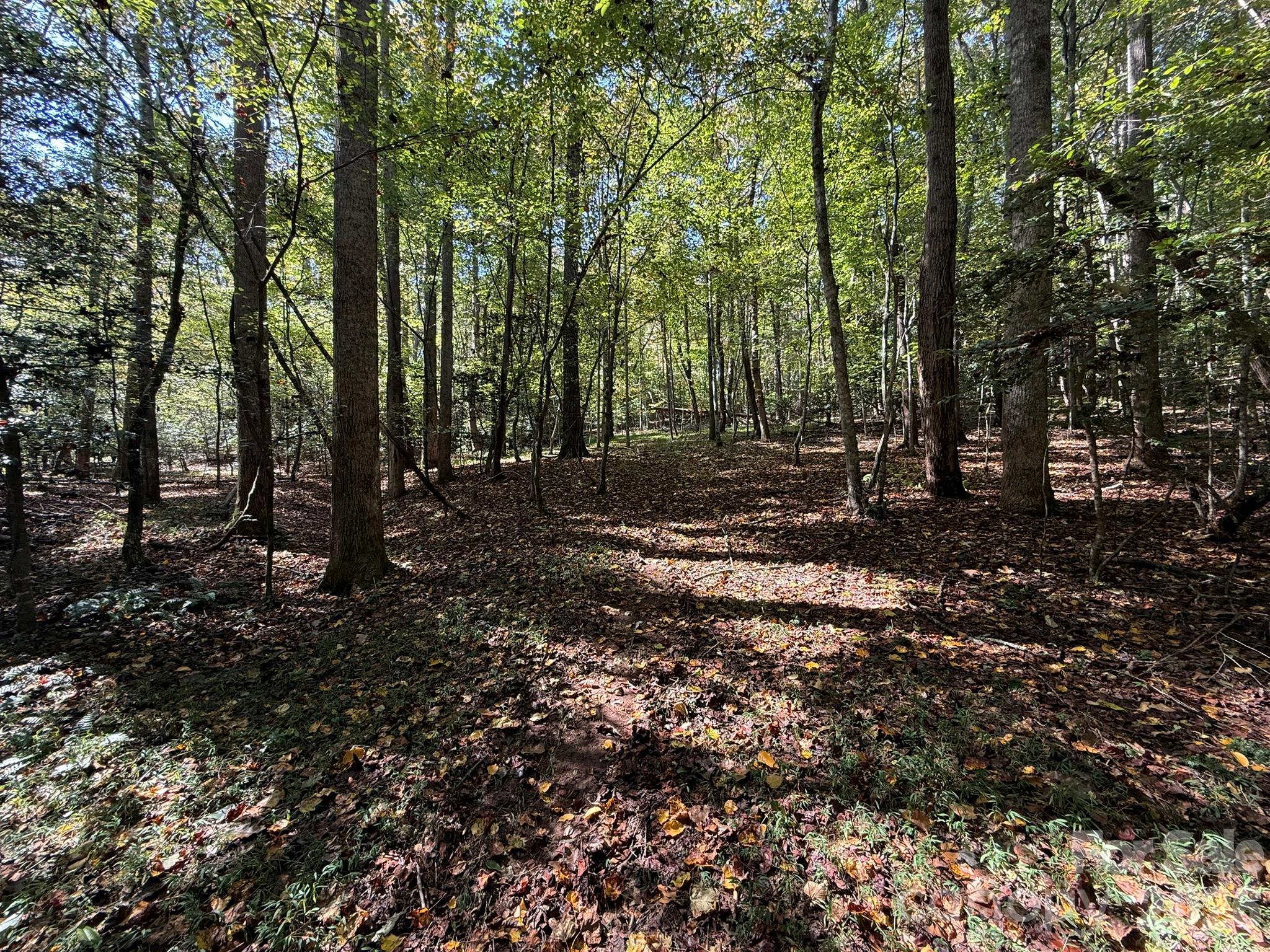V/l Secluded Circle Property Photo 20