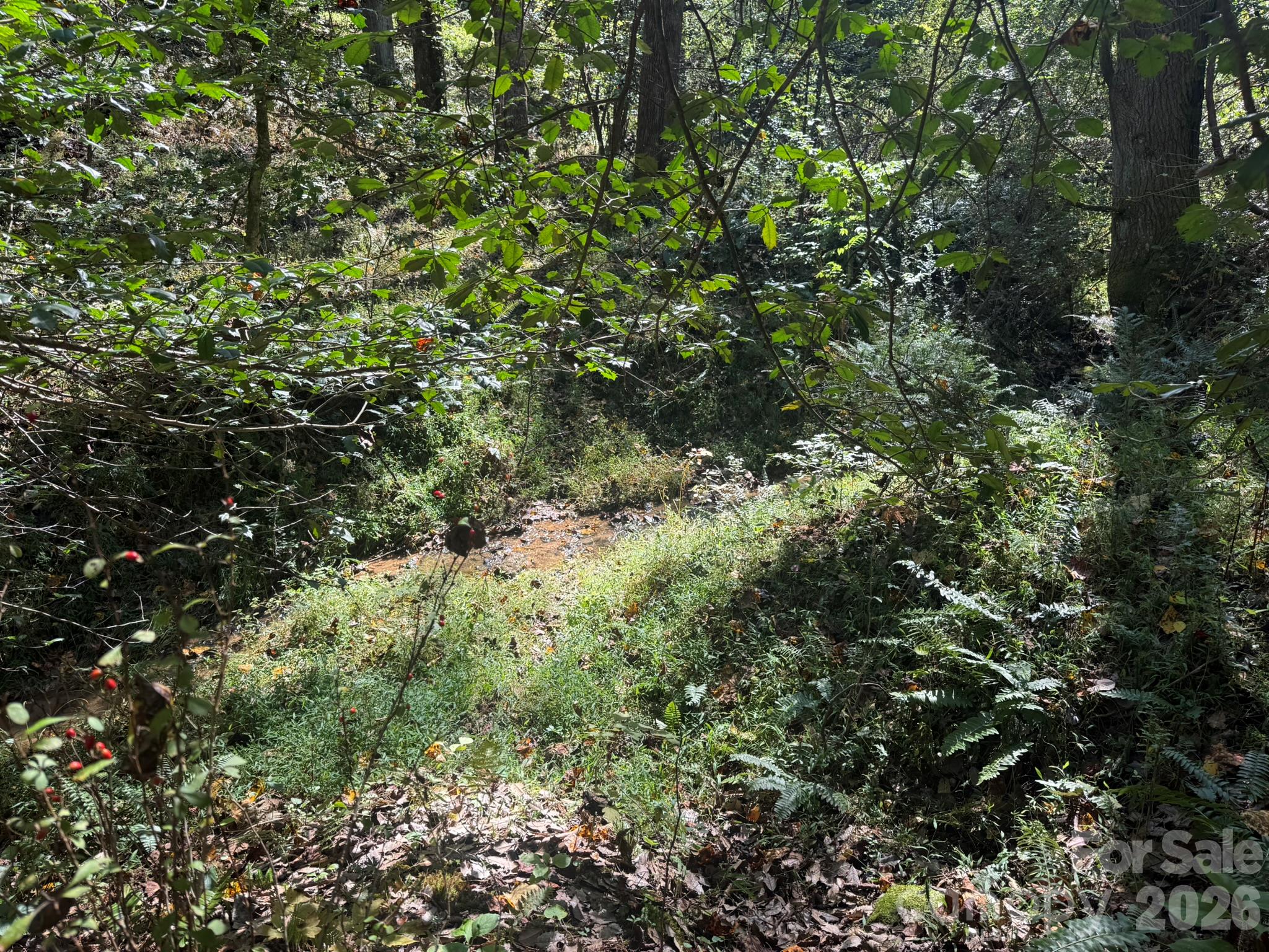 V/l Secluded Circle Property Photo 23