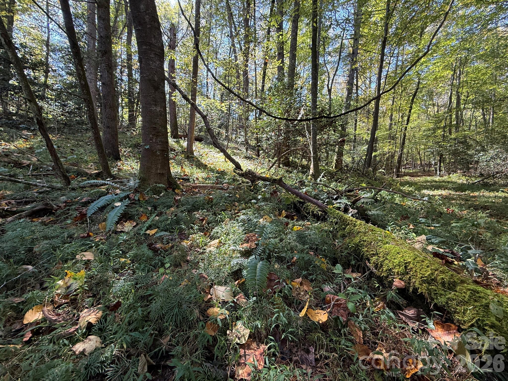V/l Secluded Circle Property Photo 30