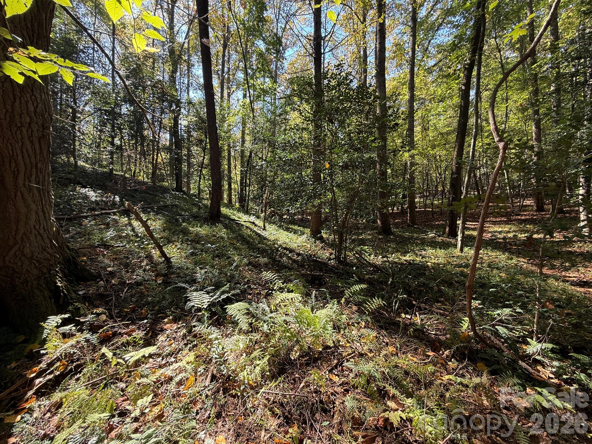 V/l Secluded Circle Property Photo 33