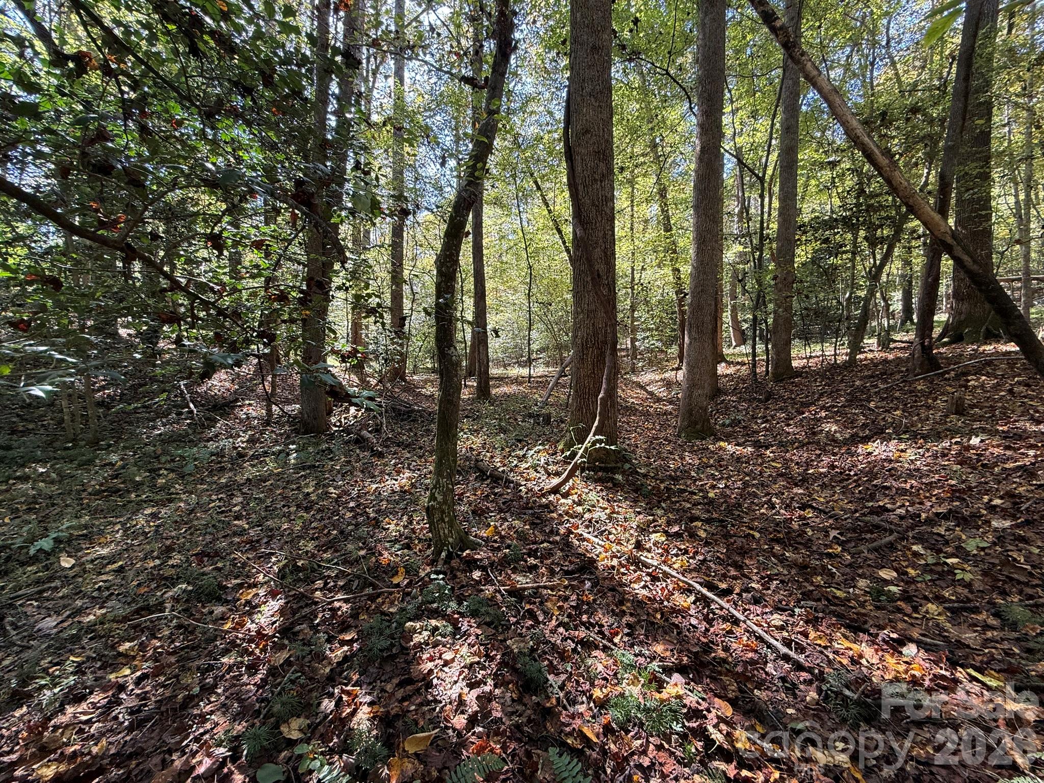 V/l Secluded Circle Property Photo 35