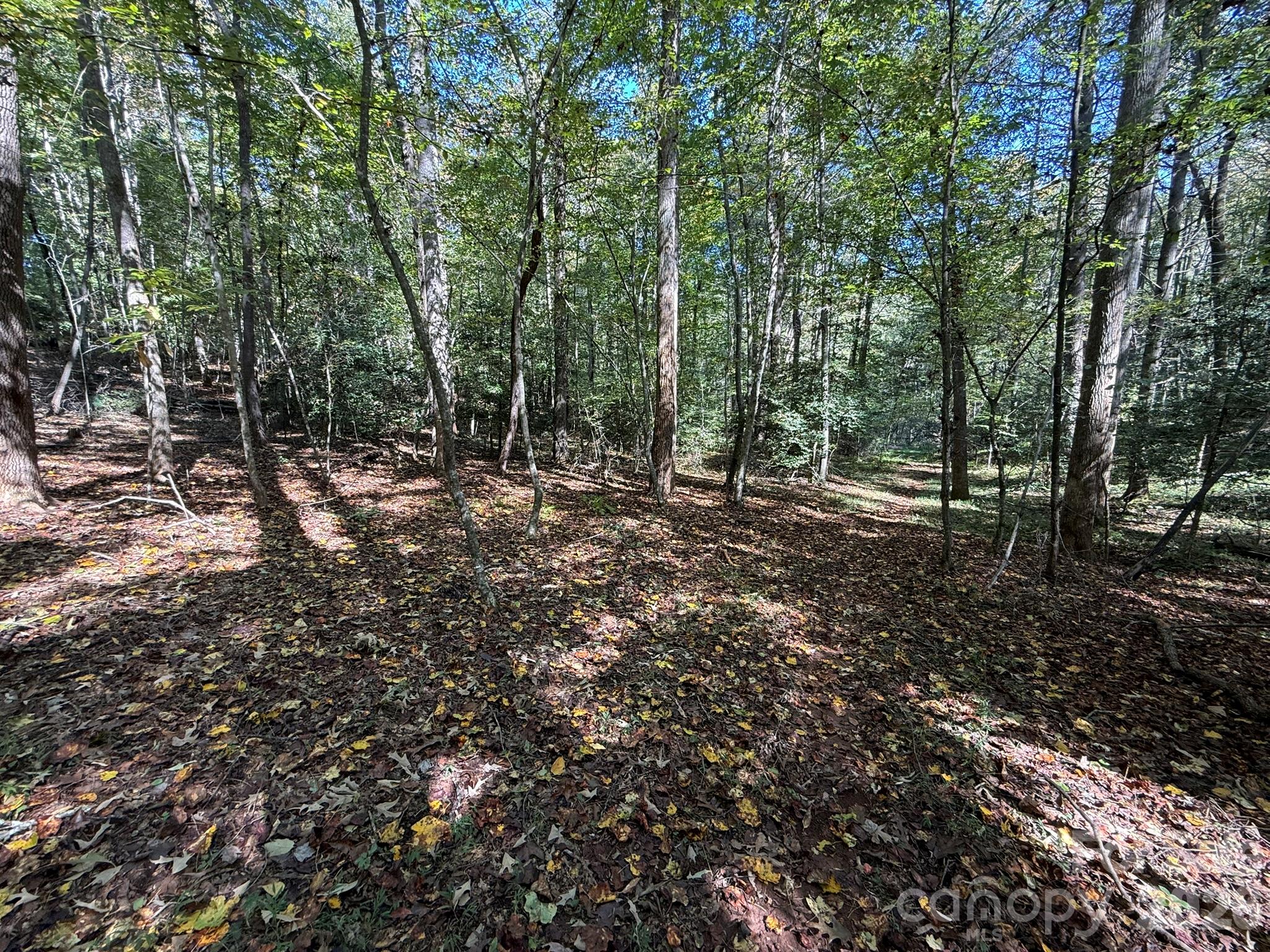 V/l Secluded Circle Property Photo 38