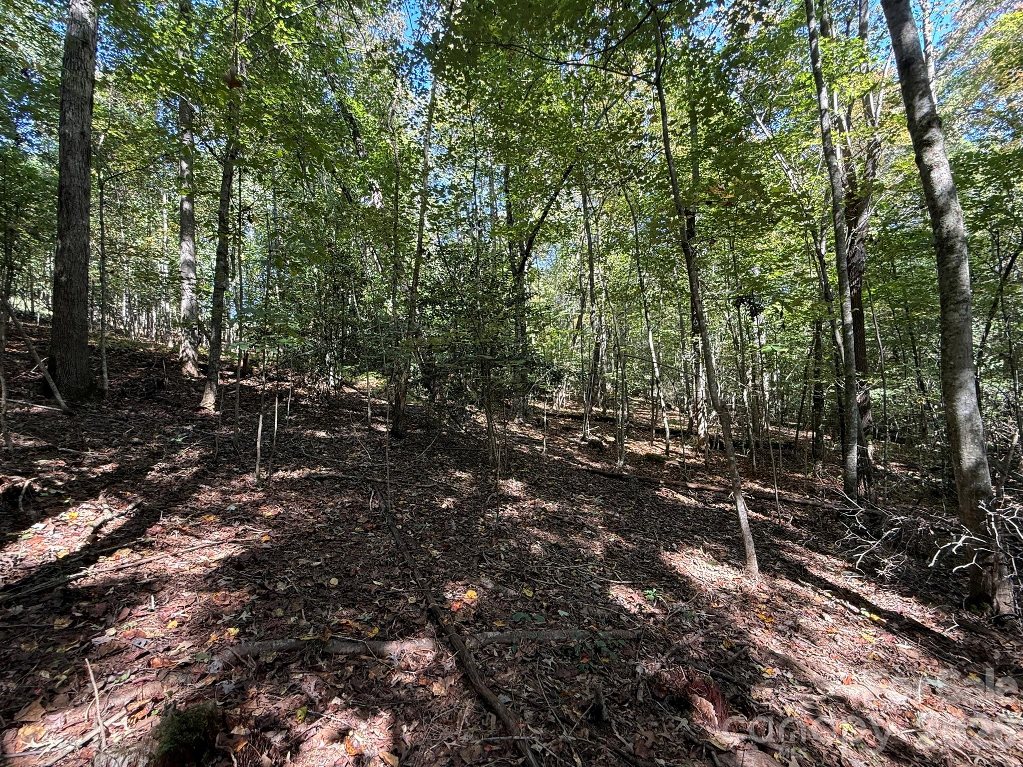 V/l Secluded Circle Property Photo 42