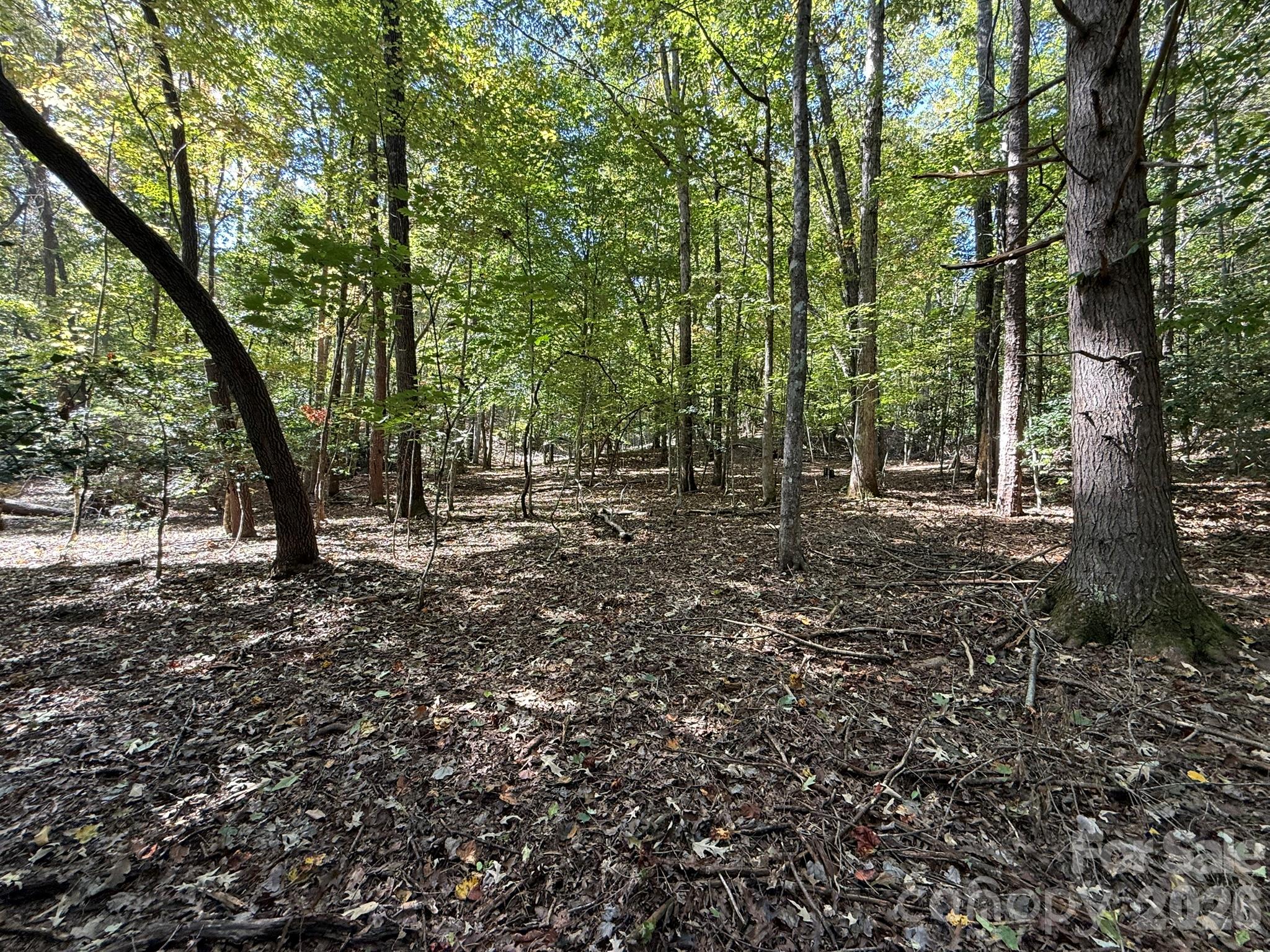 V/l Secluded Circle Property Photo 44