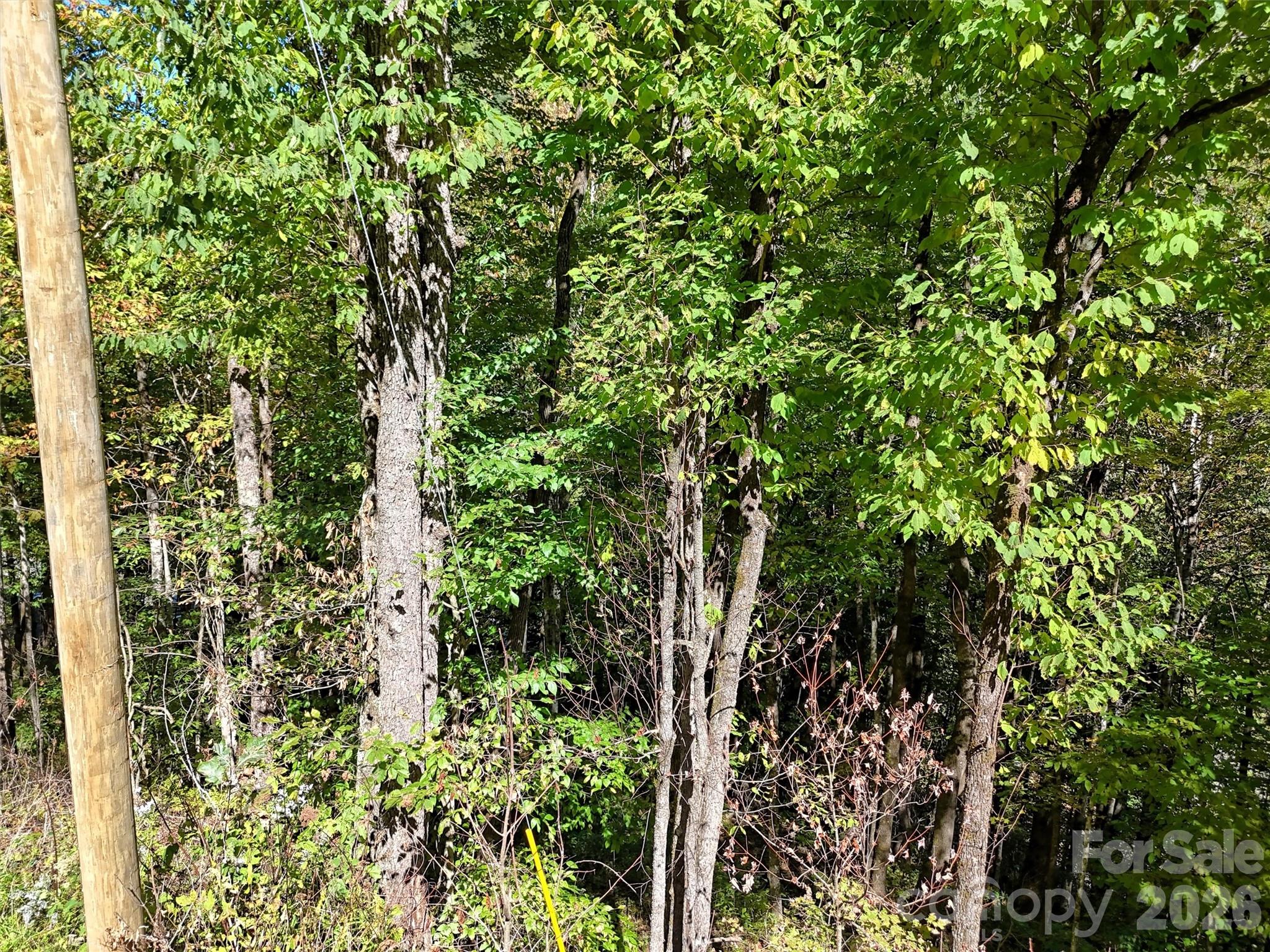 00 Buckeye Haven Road Lot 16 Property Photo 5