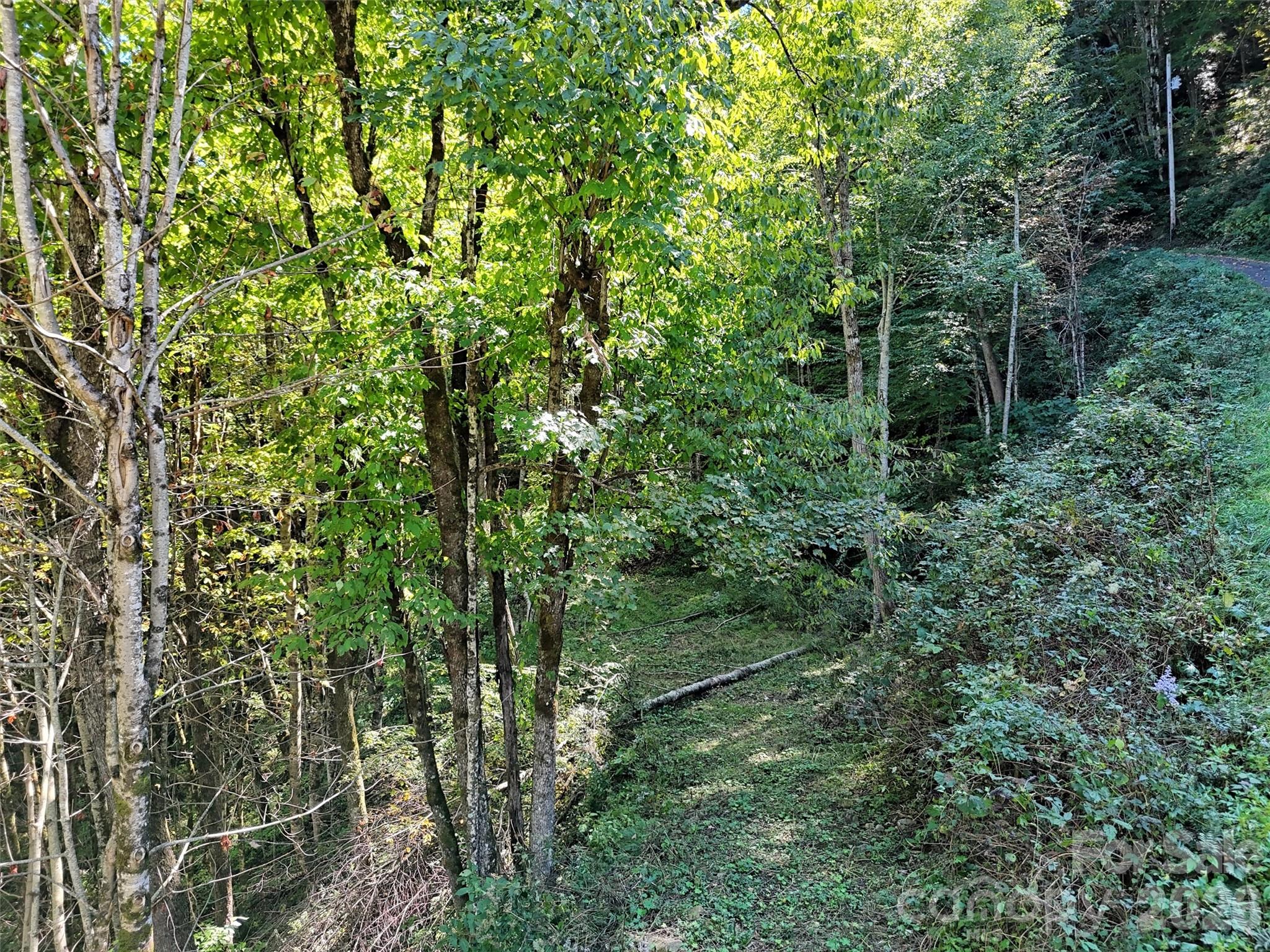 00 Buckeye Haven Road Lot 16 Property Photo 6