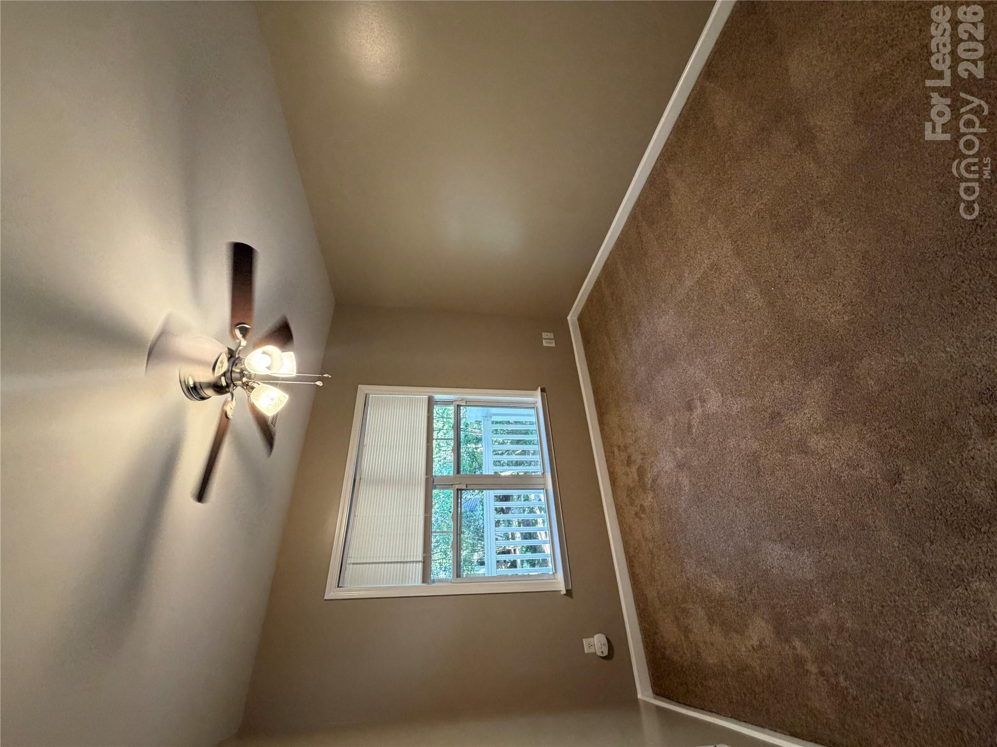 11025 Dundarrach Lane Property Photo 9