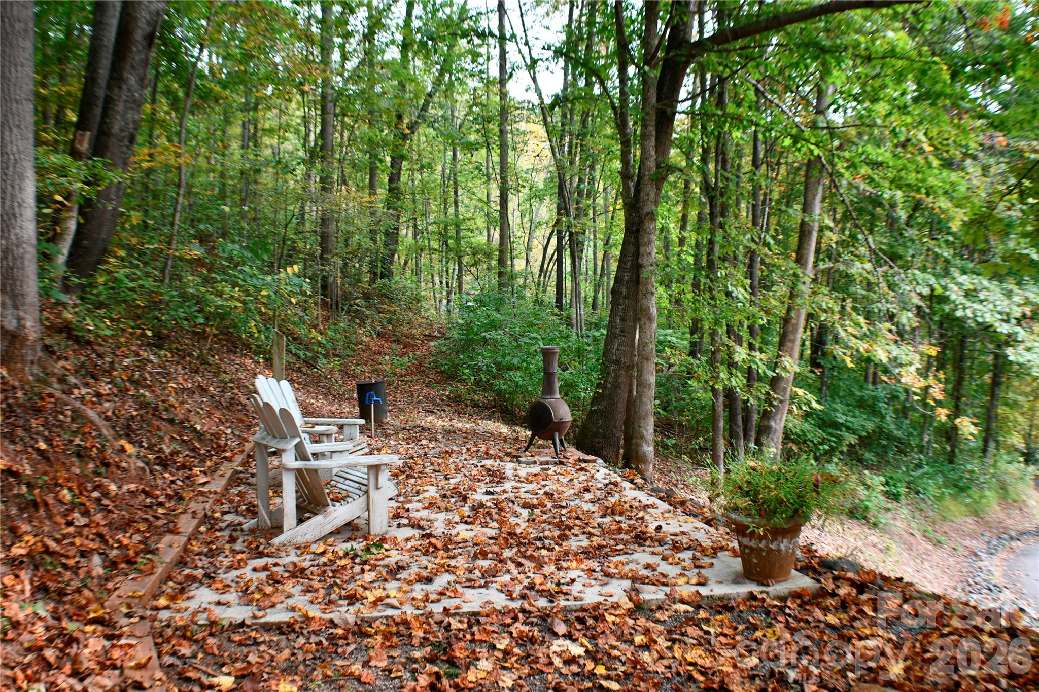 177 Natural Trail Property Photo 19