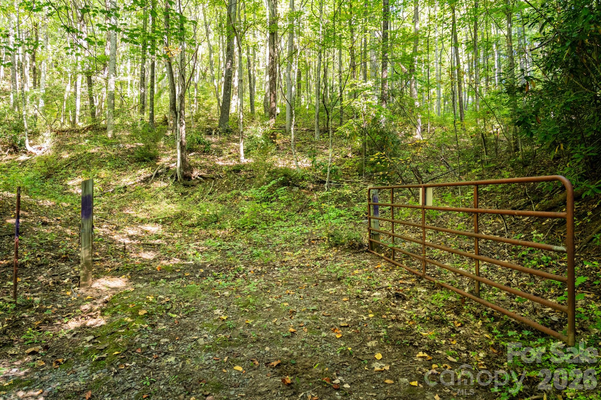 00 Orion Davis Road Property Photo 3