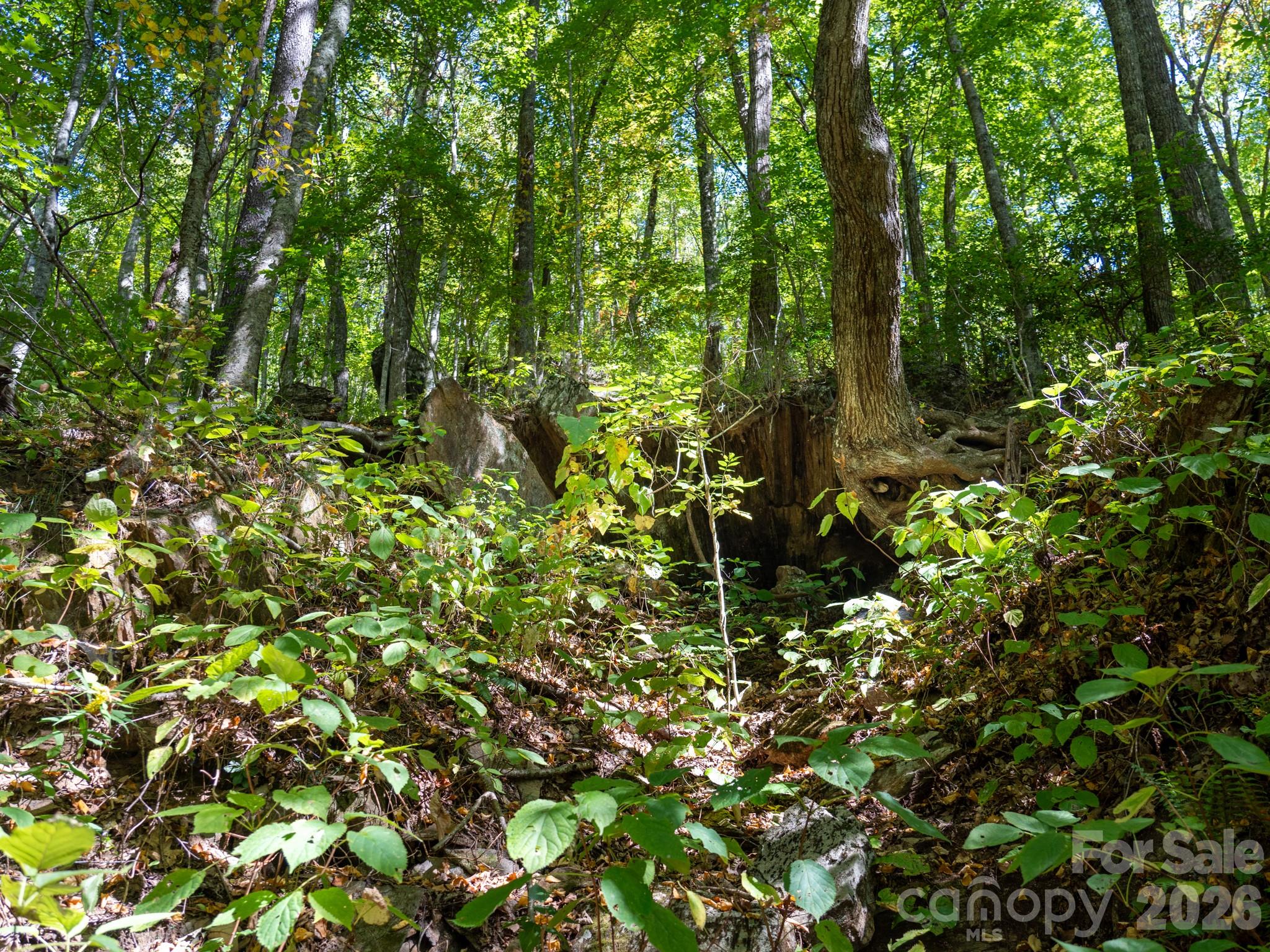 00 Orion Davis Road Property Photo 12