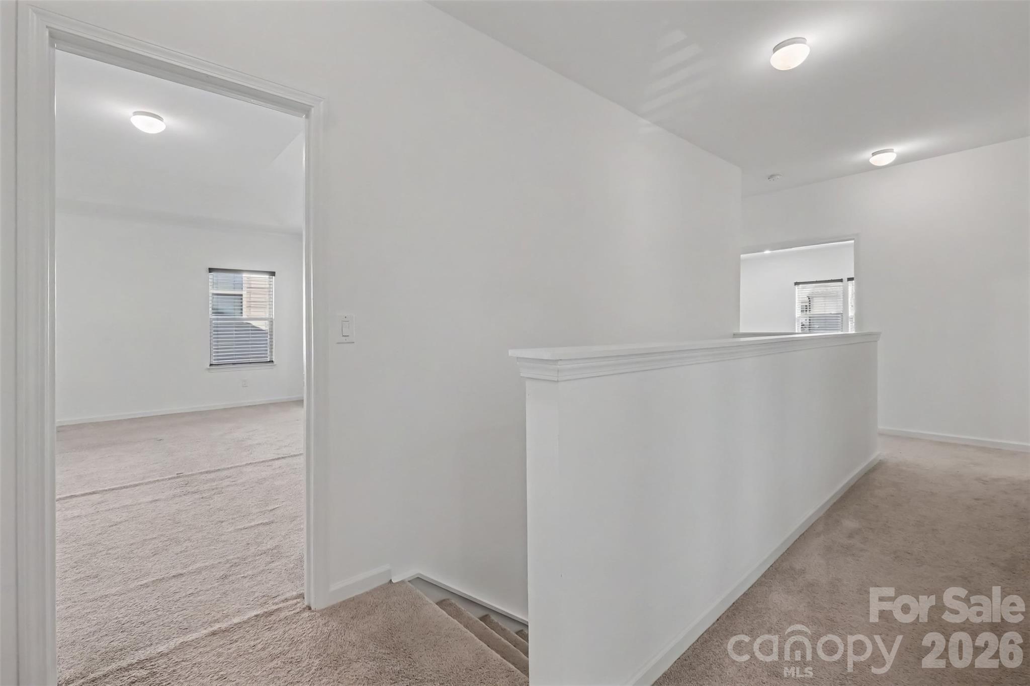 6343 Clarisse Drive Property Photo 33