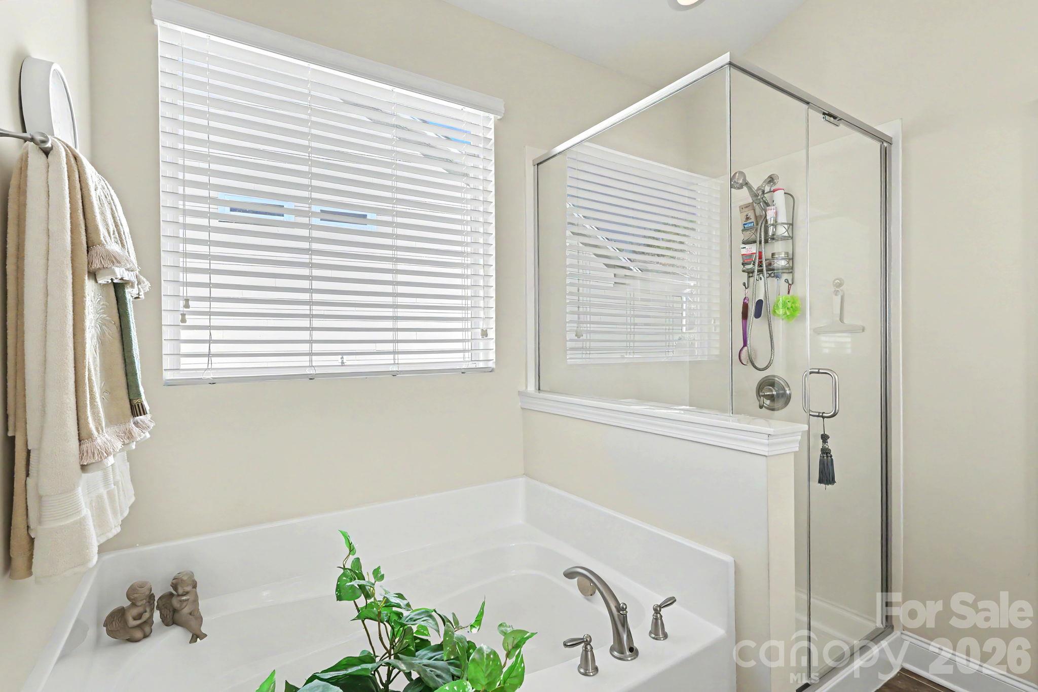 9025 Carneros Creek Road Property Photo 20