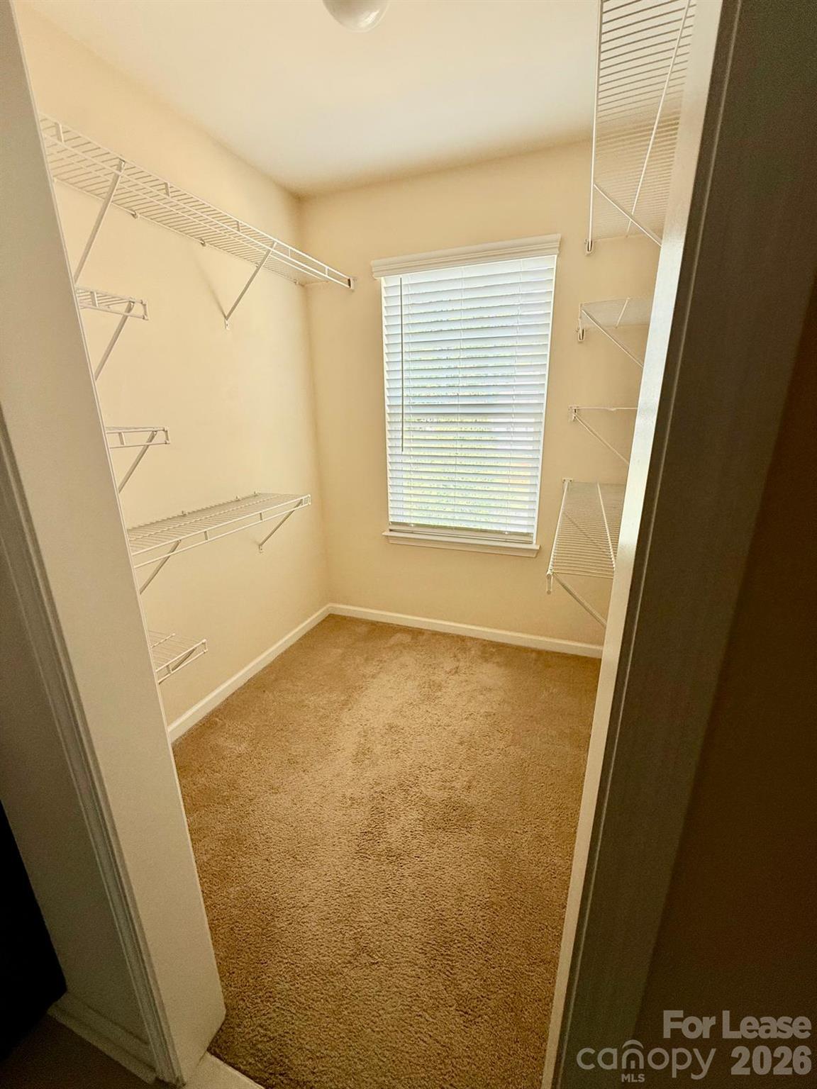 615 Samet Street Property Photo 21