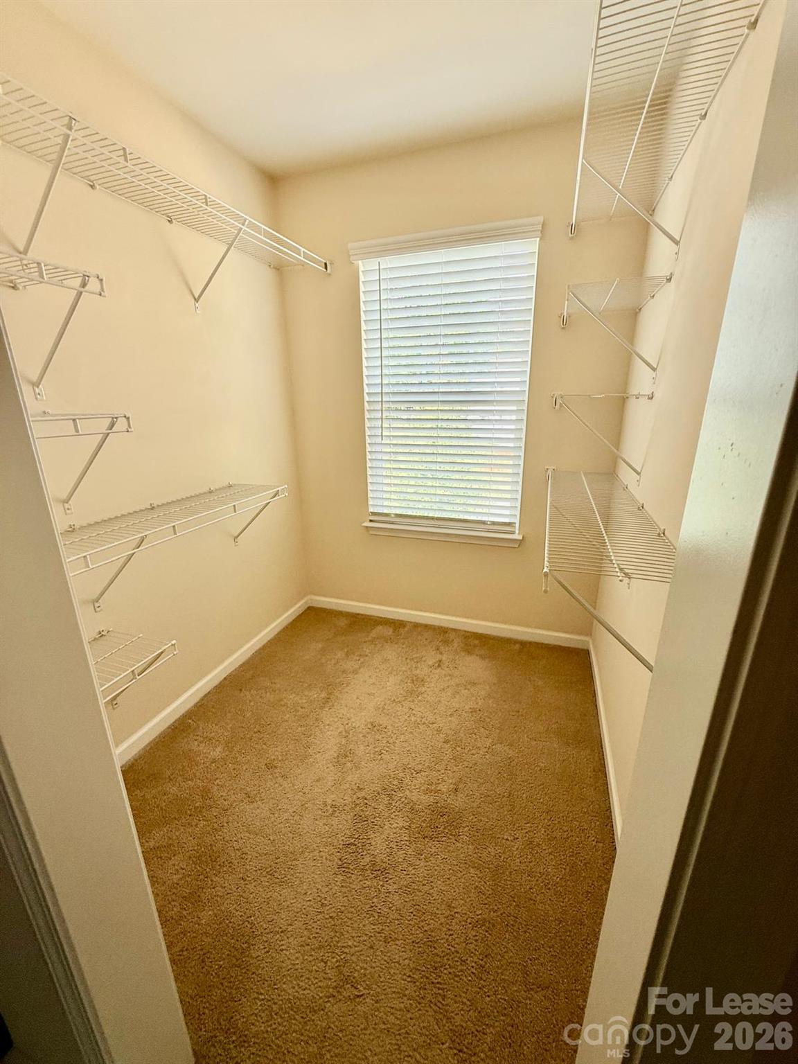 615 Samet Street Property Photo 22