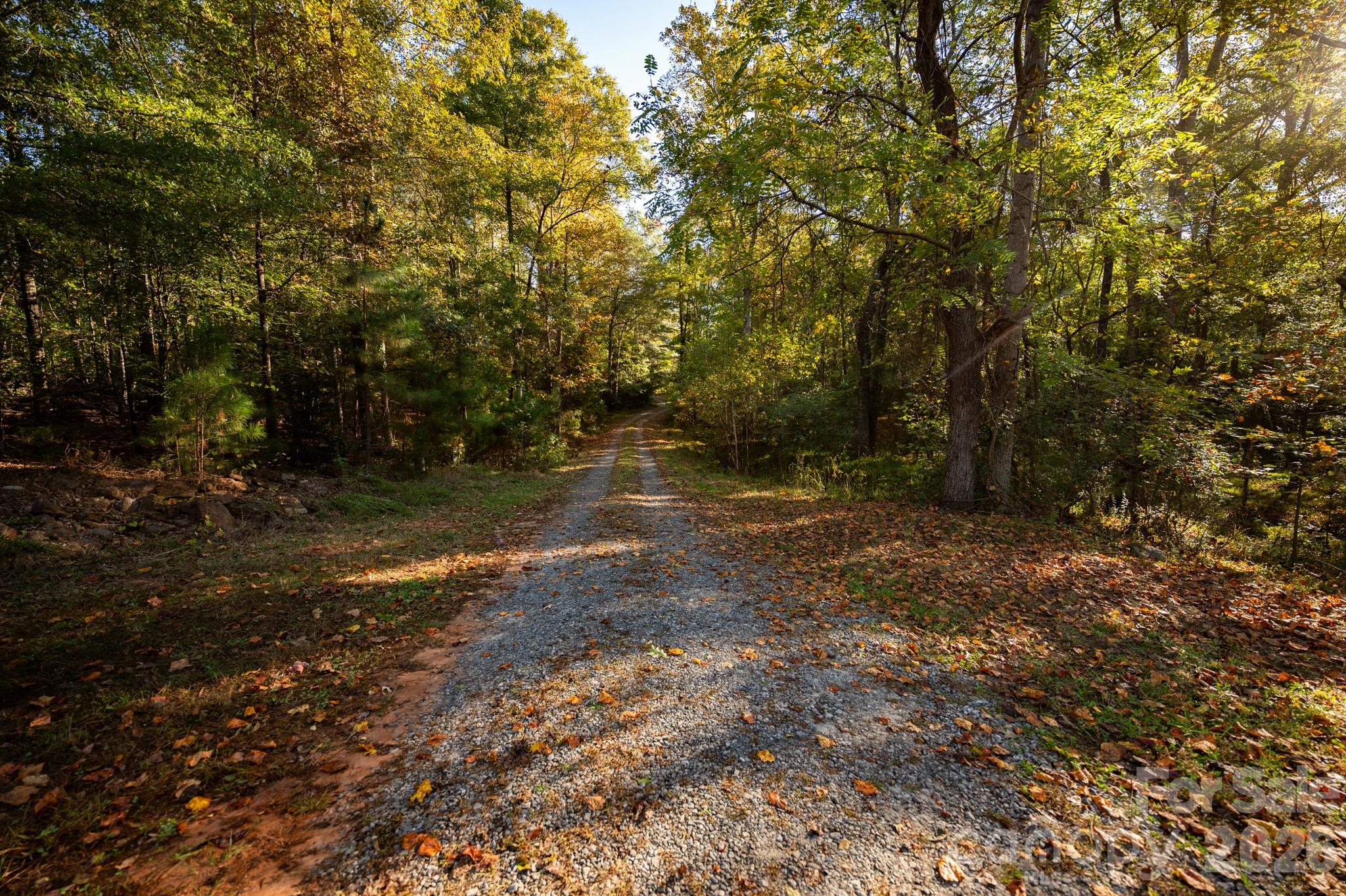 838 Sandy Run Church Road Property Photo 2