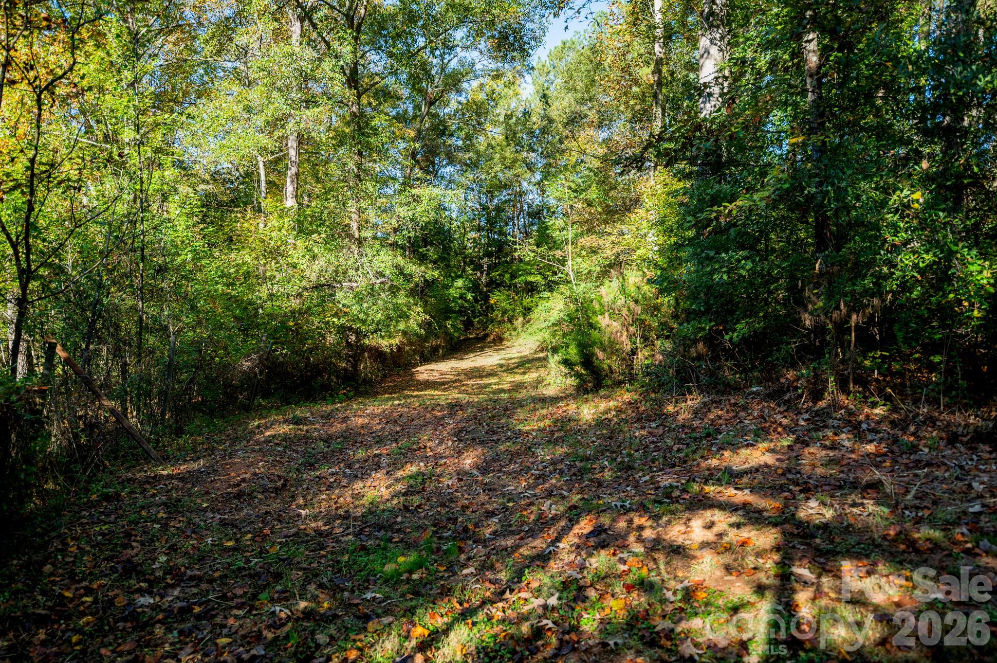 838 Sandy Run Church Road Property Photo 4