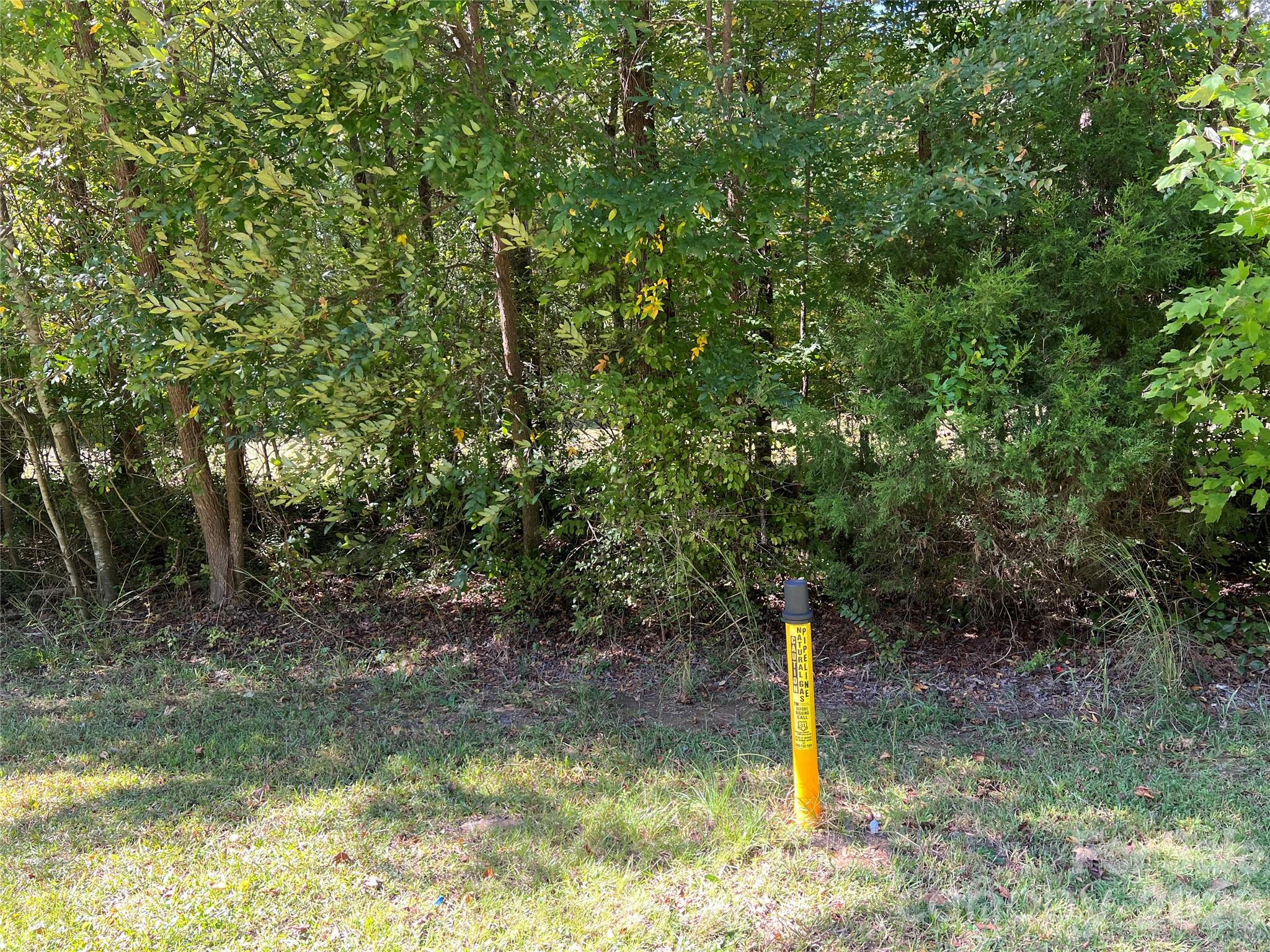 0000 Nc 138 Highway Property Photo 3