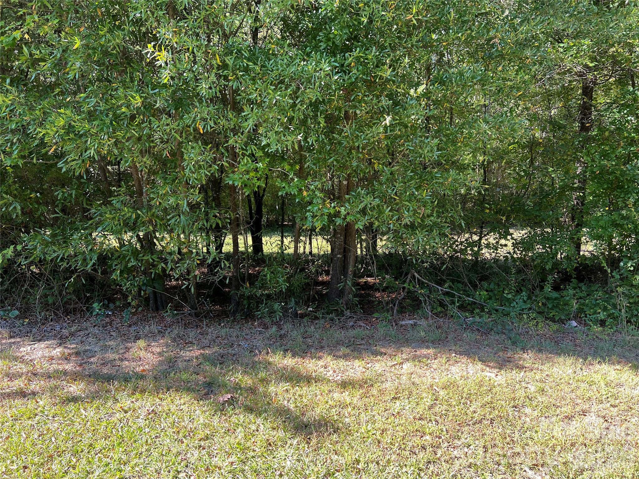 0000 Nc 138 Highway Property Photo 4