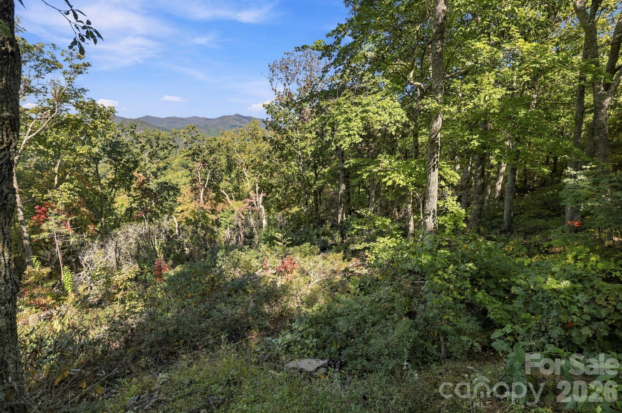 99999 Harrison Hill Road Property Photo 4
