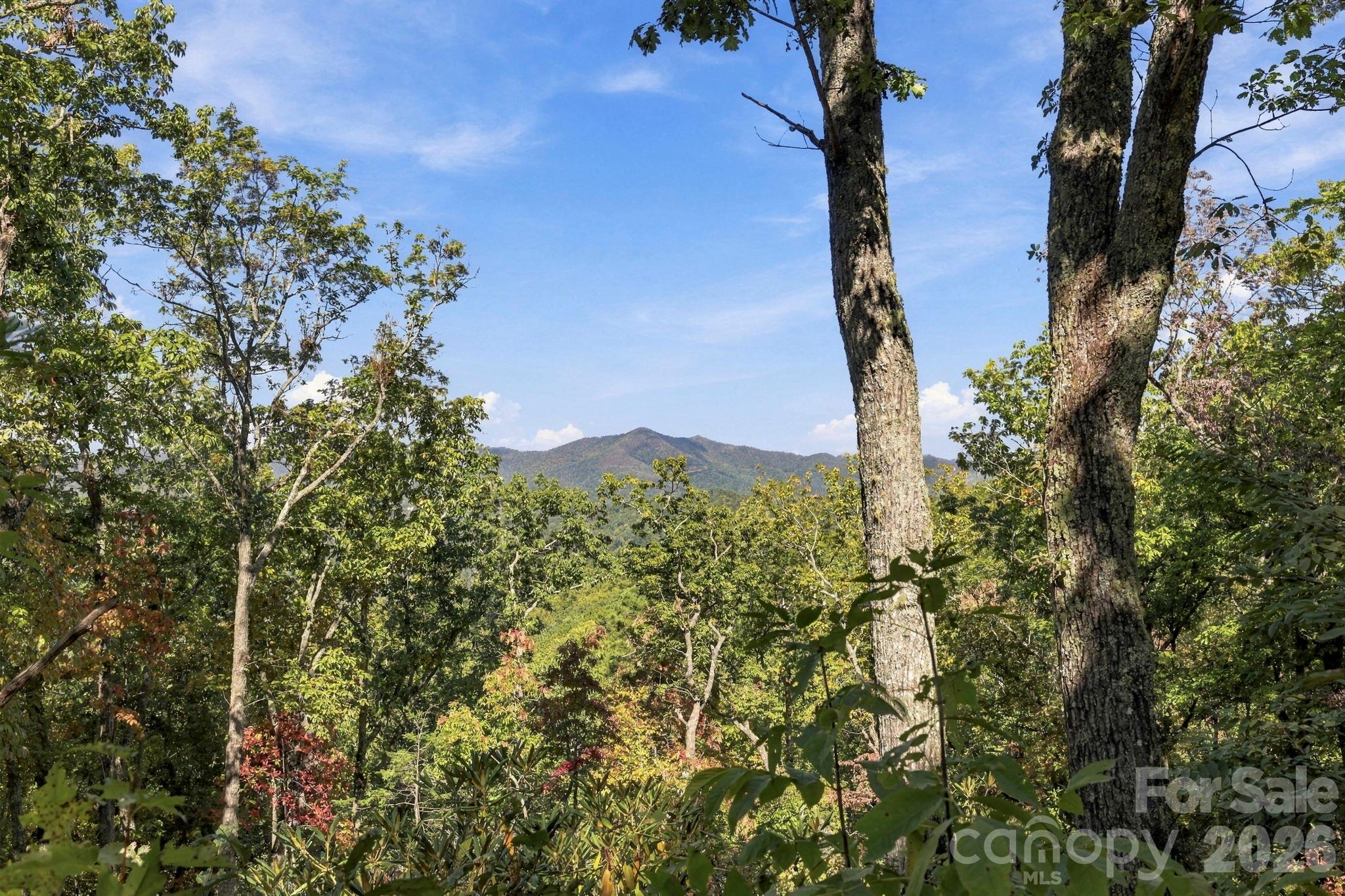 99999 Harrison Hill Road Property Photo 7