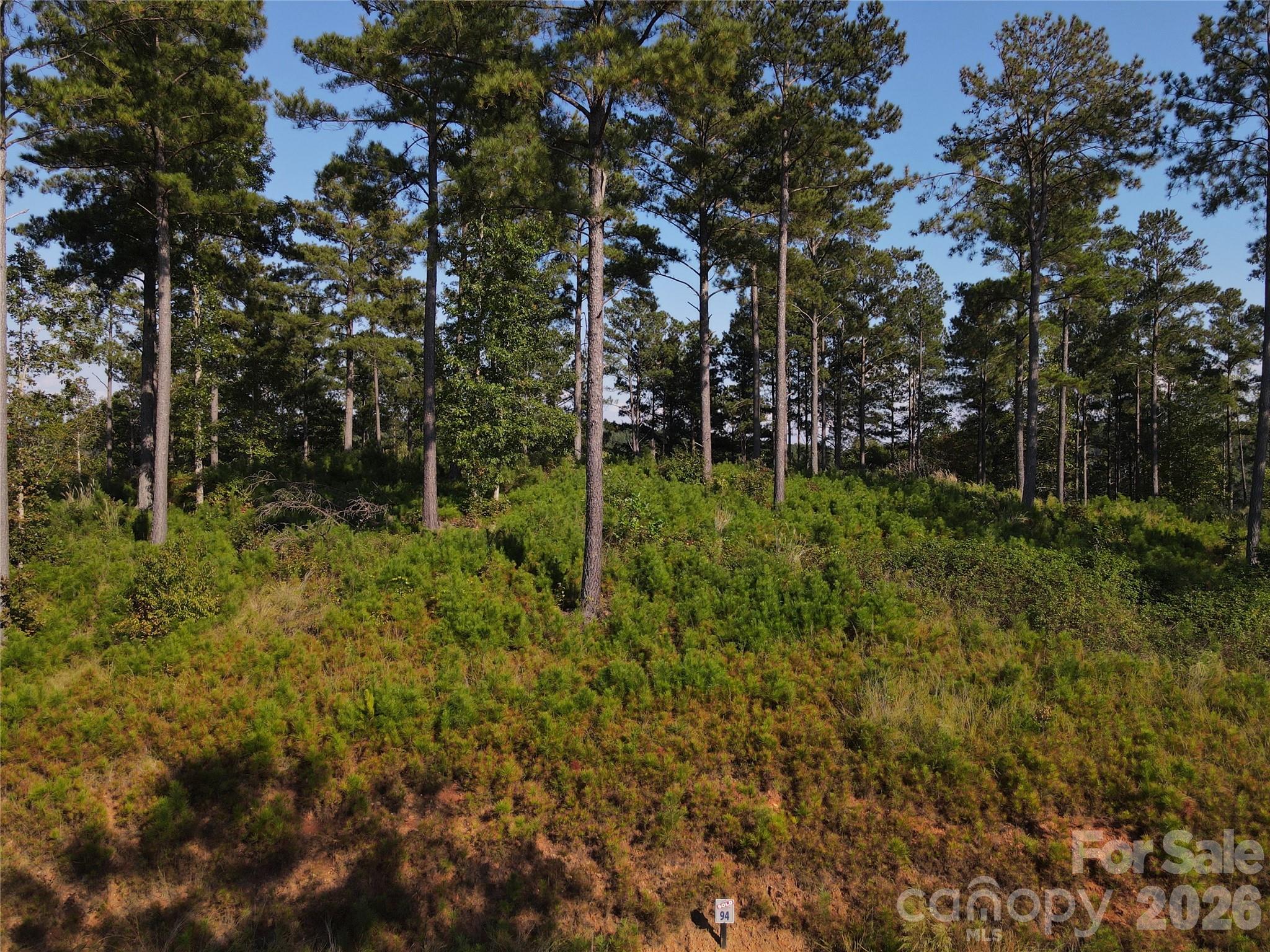 3012 Jumping Run Property Photo 27