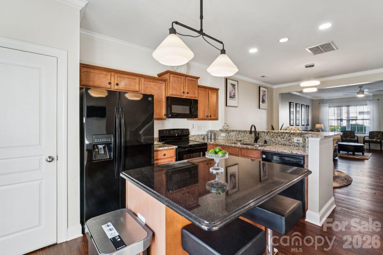 248 Halton Crossing Drive Property Photo 14