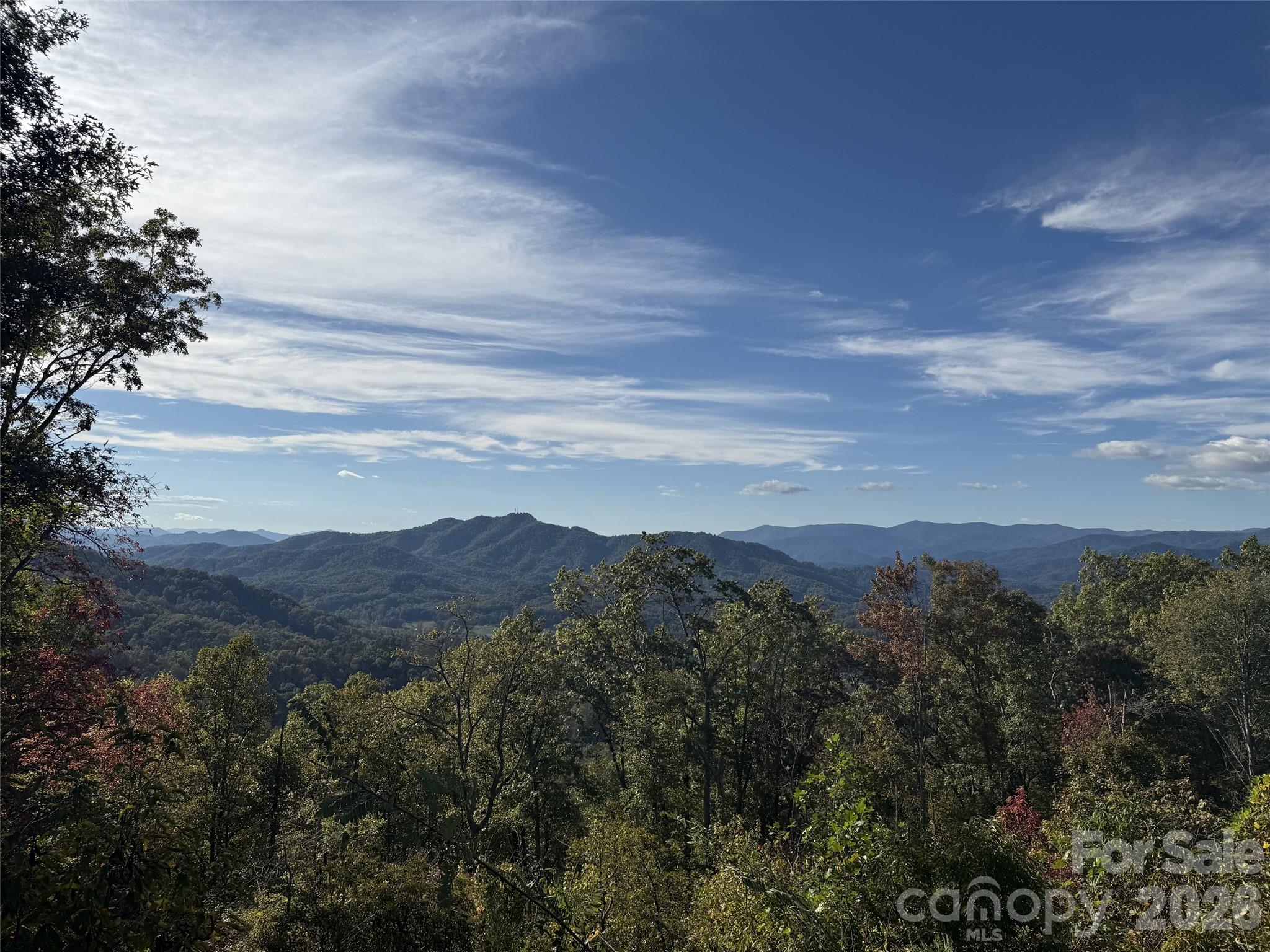 00 Breedlove Road 11 Property Photo 18