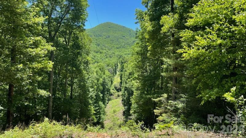 1629 White Rock Road Property Photo 2