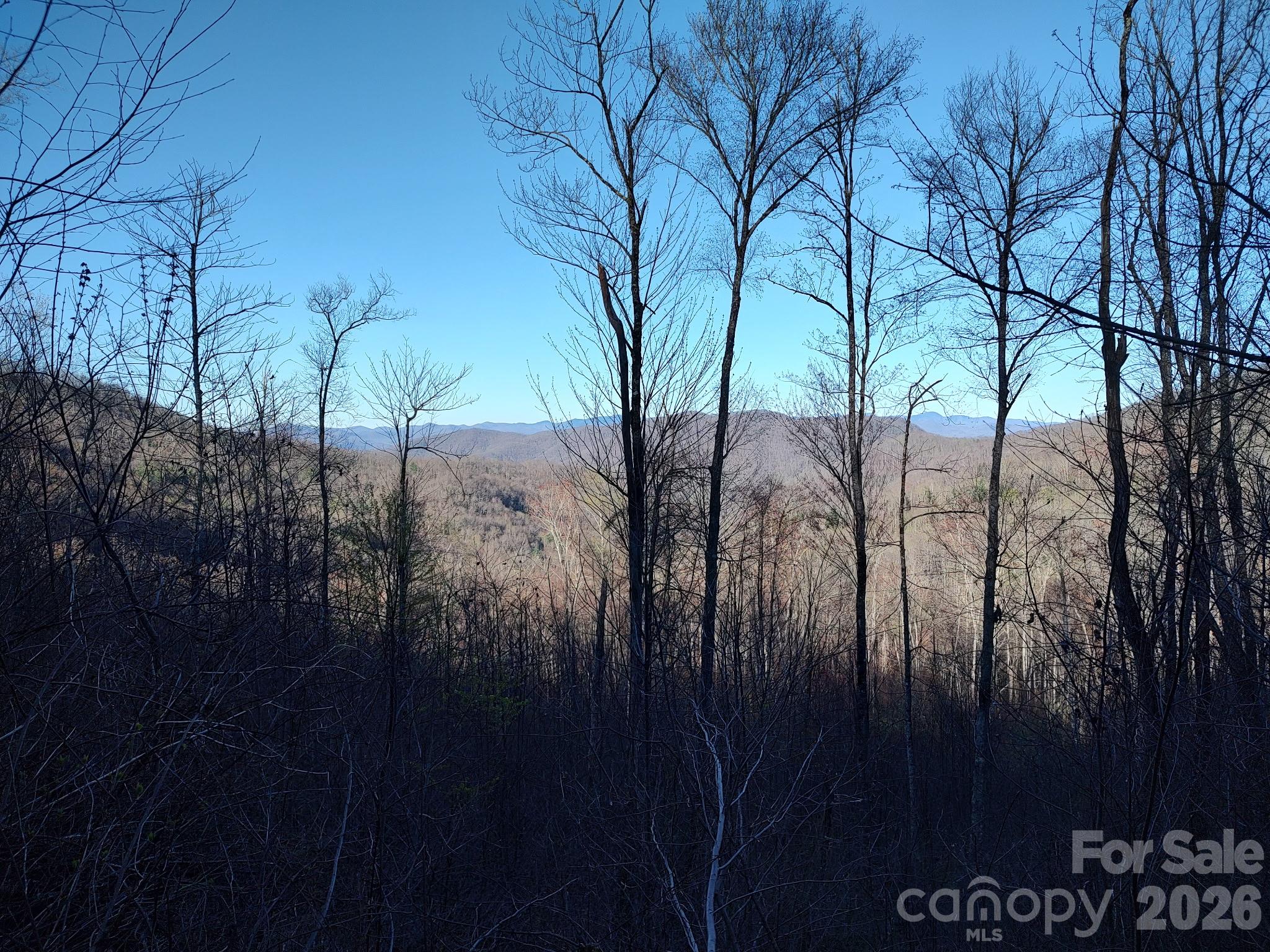 1629 White Rock Road Property Photo 3