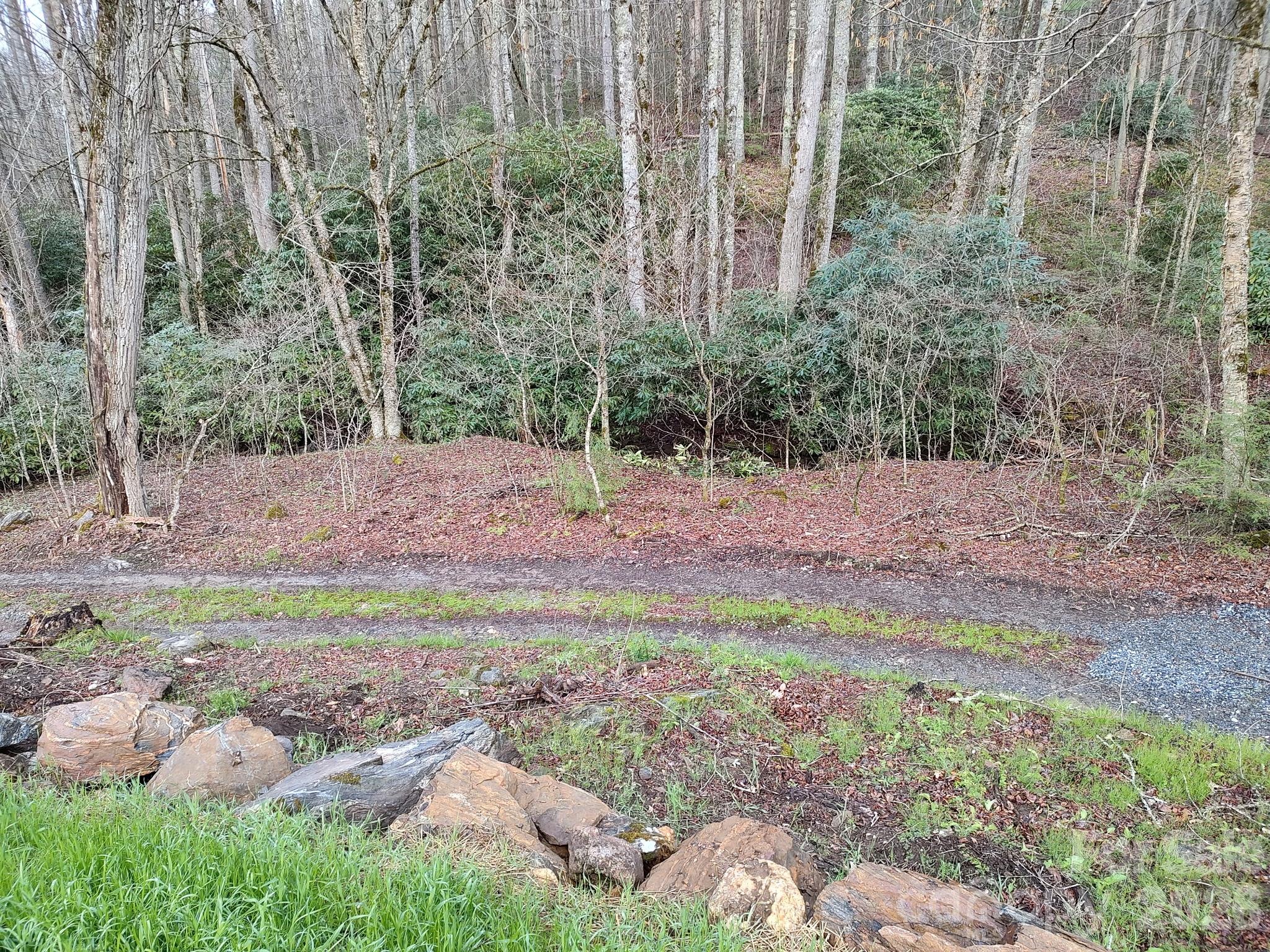 1629 White Rock Road Property Photo 19