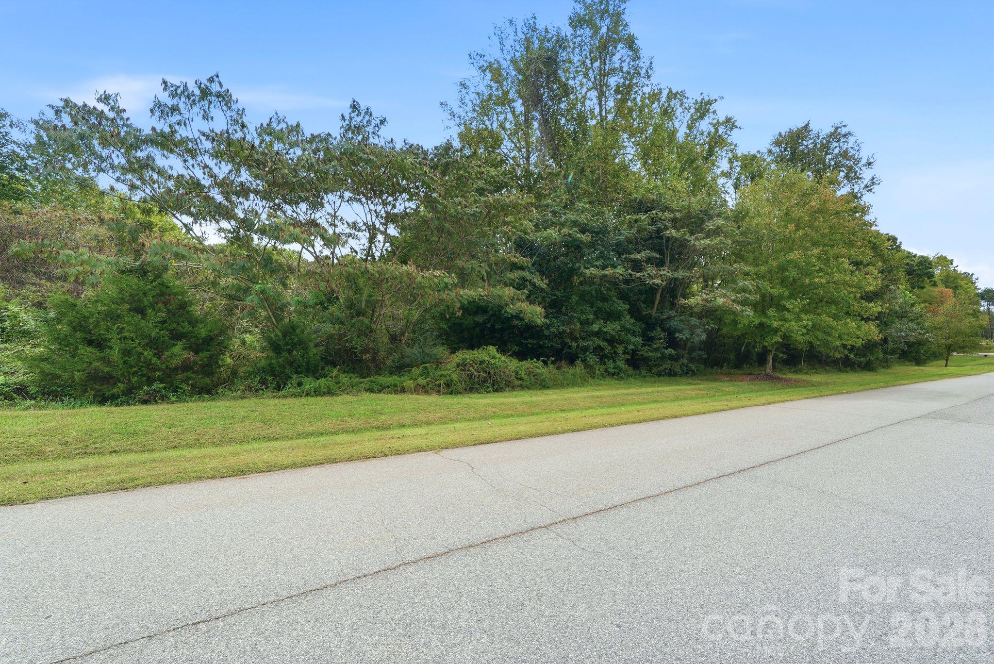 0 Lake Drive Property Photo 3