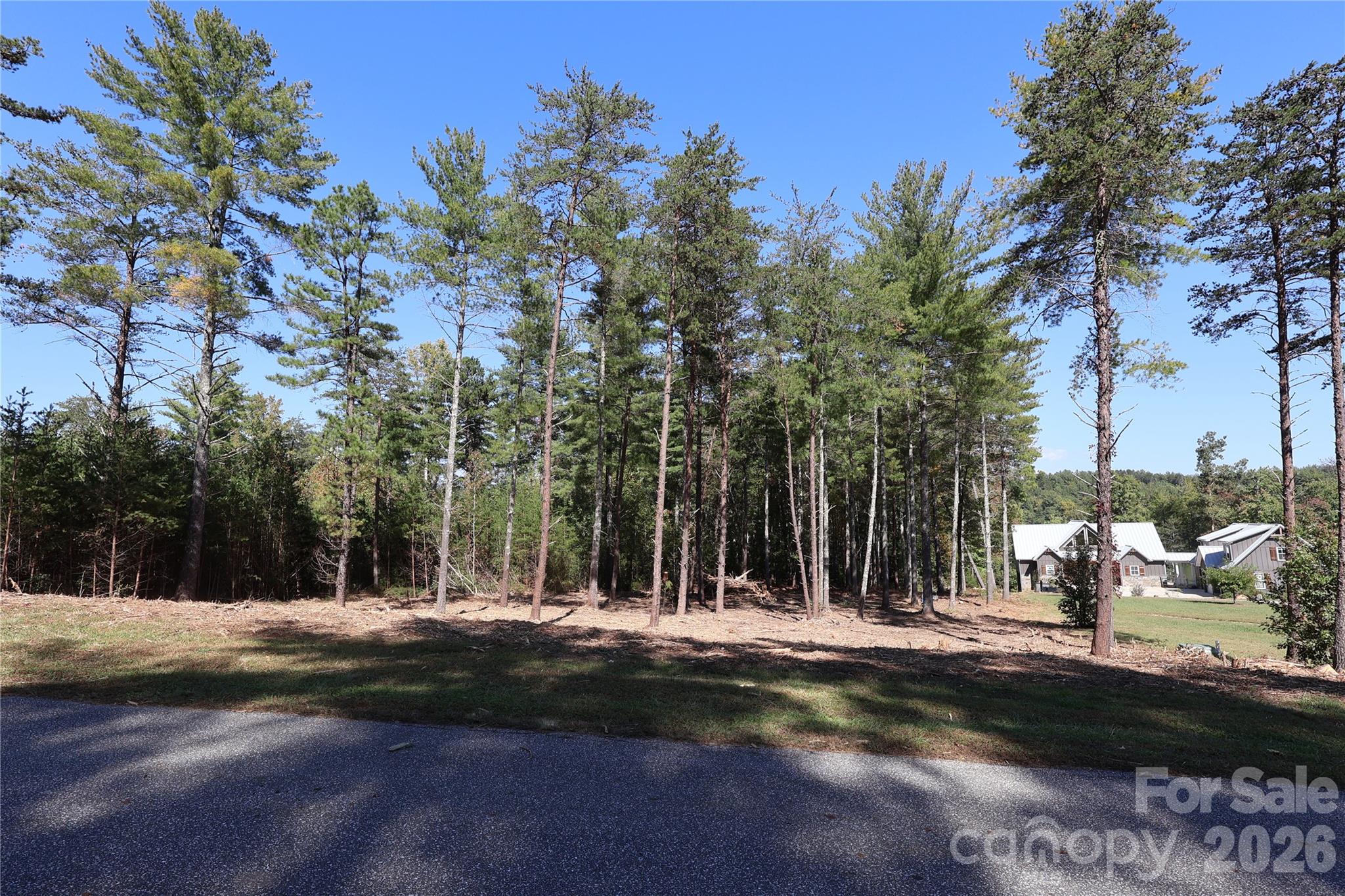 25 Linville View Drive 8 Property Photo 6