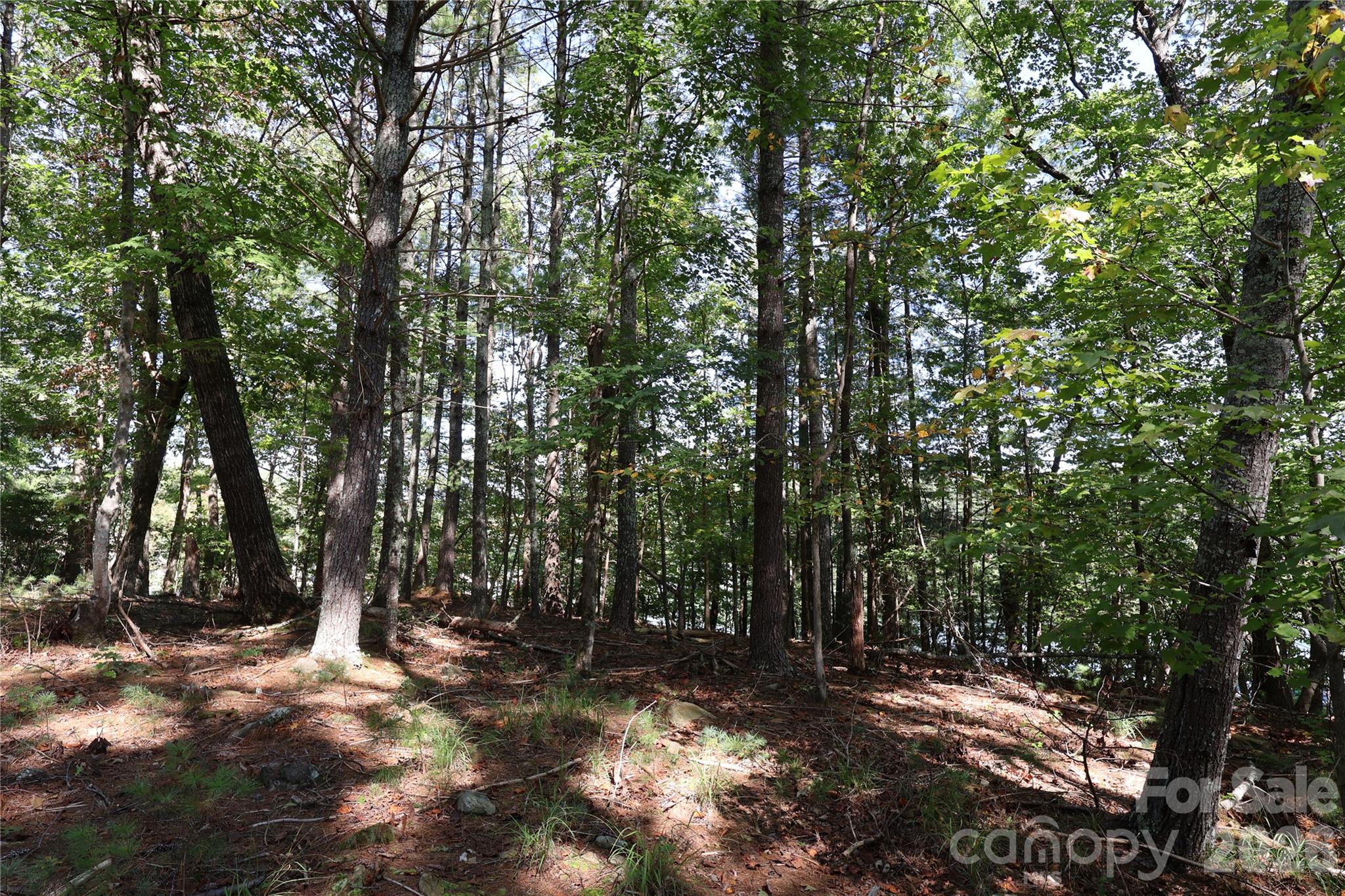 25 Linville View Drive 8 Property Photo 8