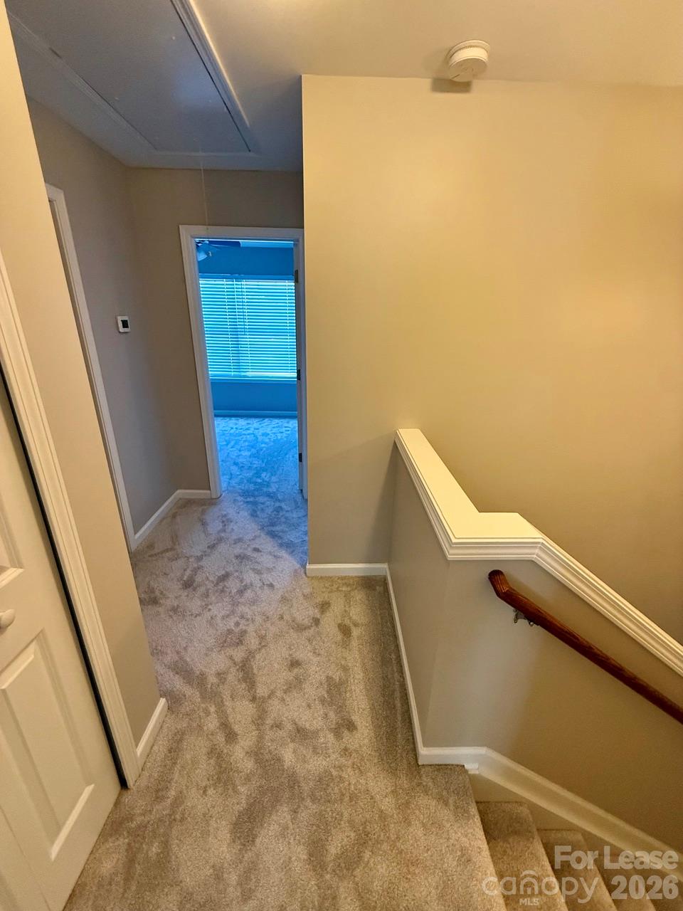 10162 Ballyclare Court Property Photo 11