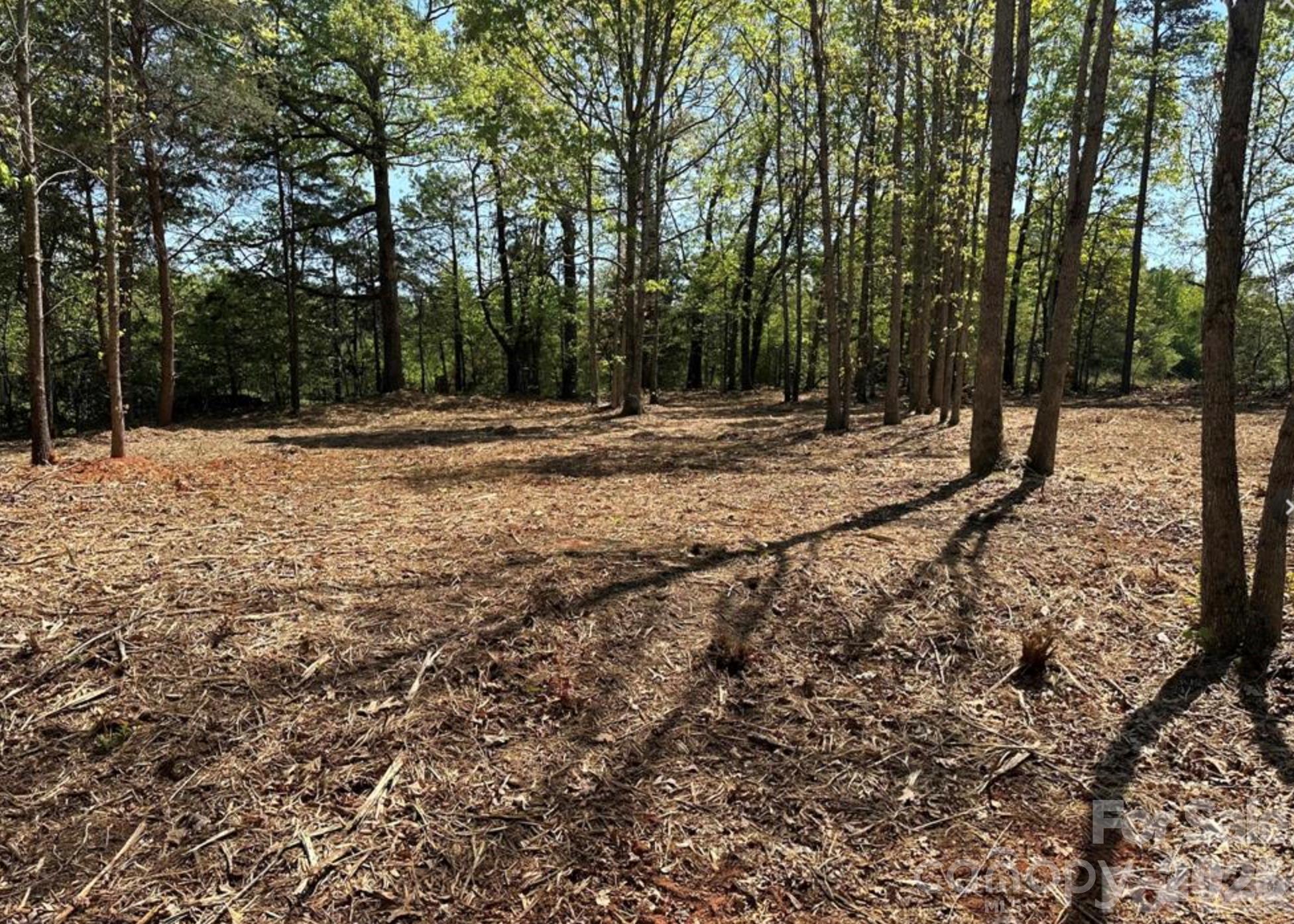 00 Stikeleather Road Lot 4 Property Photo 1