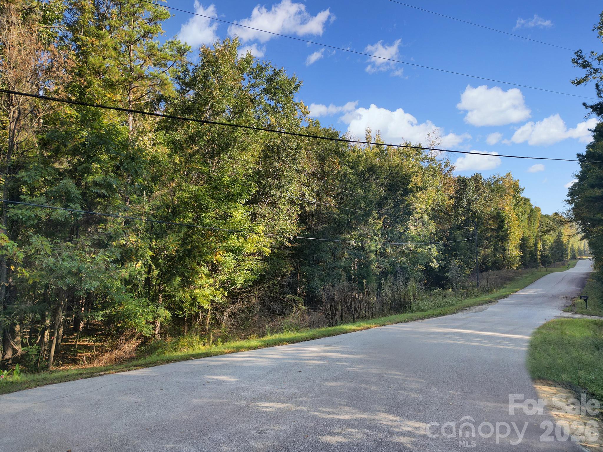 00 Shadybark Trail Property Photo 3