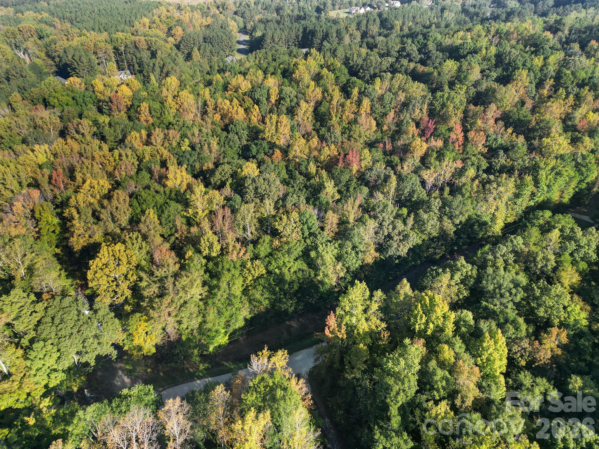 00 Shadybark Trail Property Photo 5