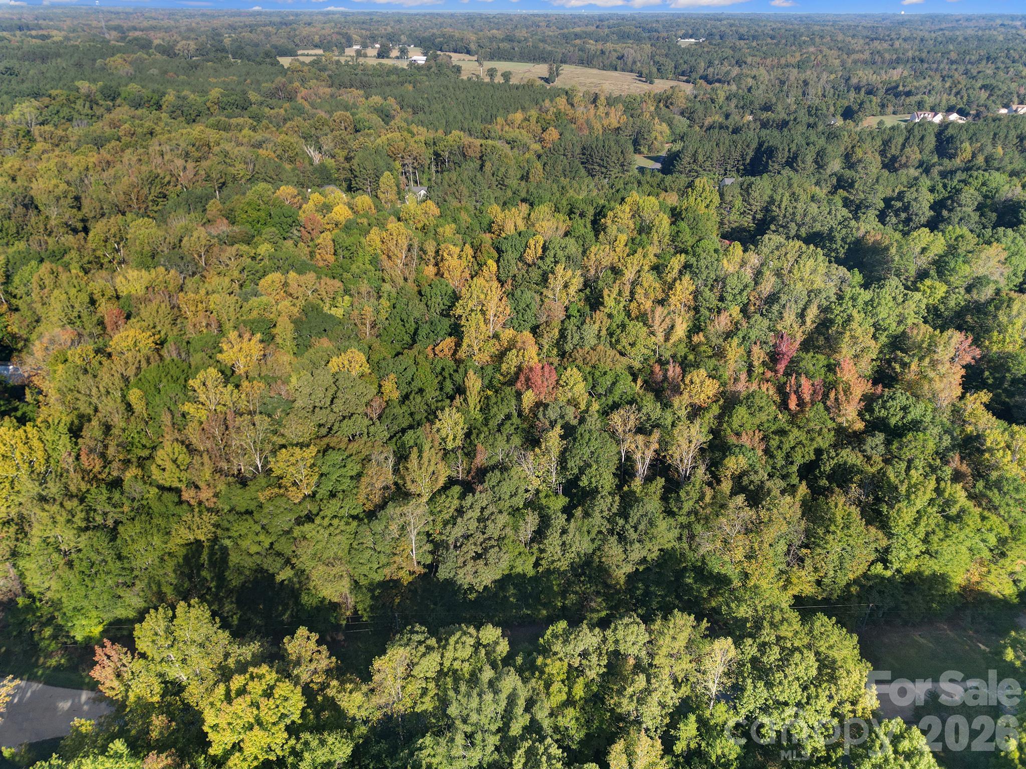 00 Shadybark Trail Property Photo 6