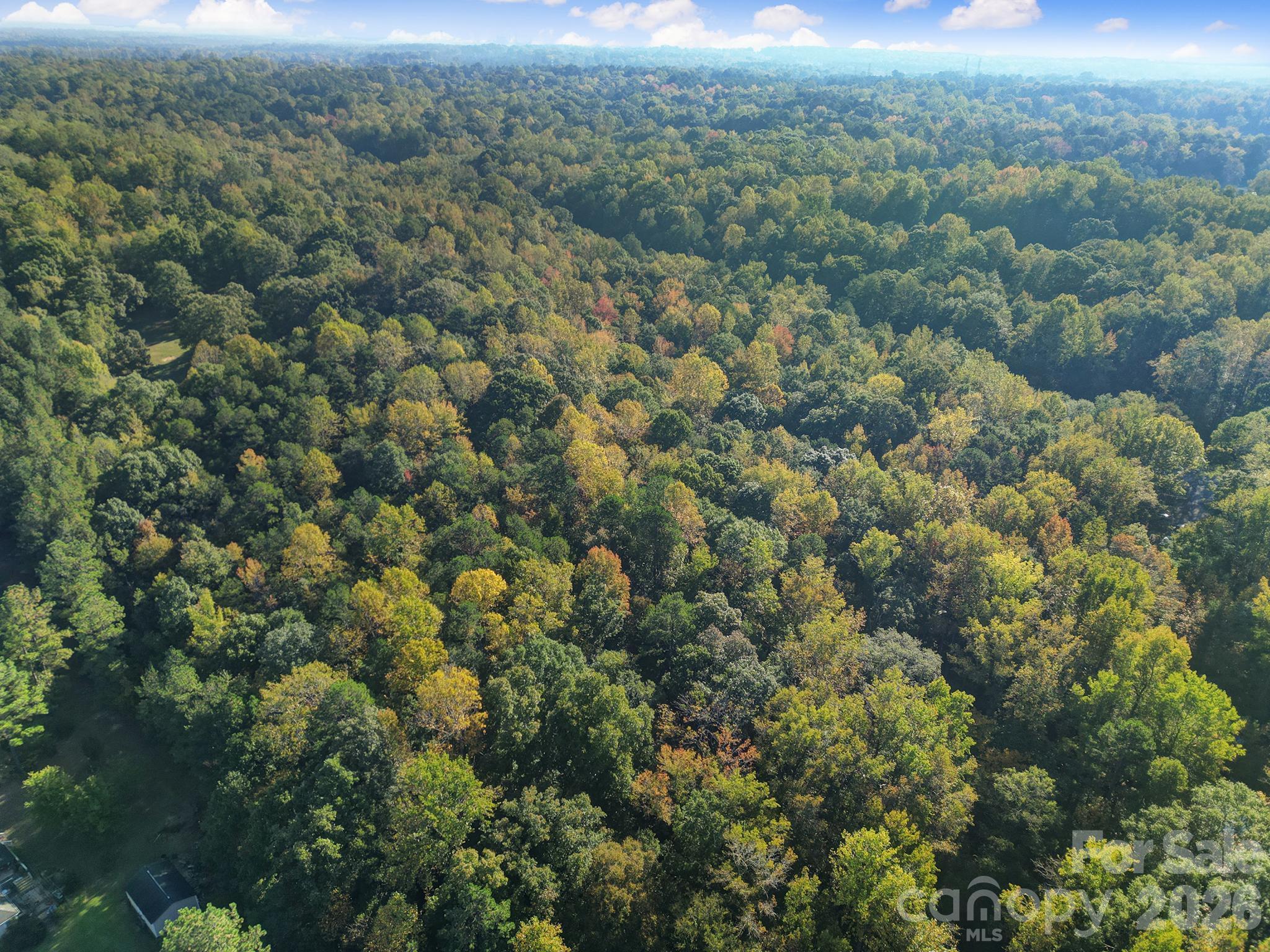 00 Shadybark Trail Property Photo 7