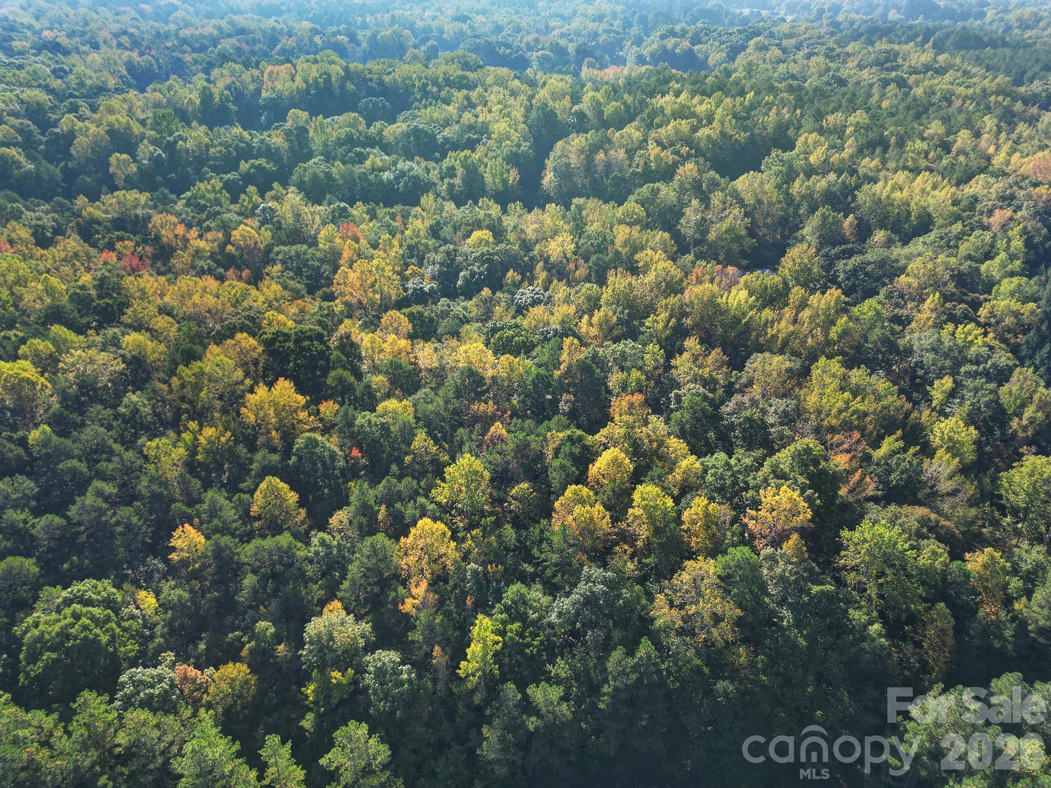 00 Shadybark Trail Property Photo 8
