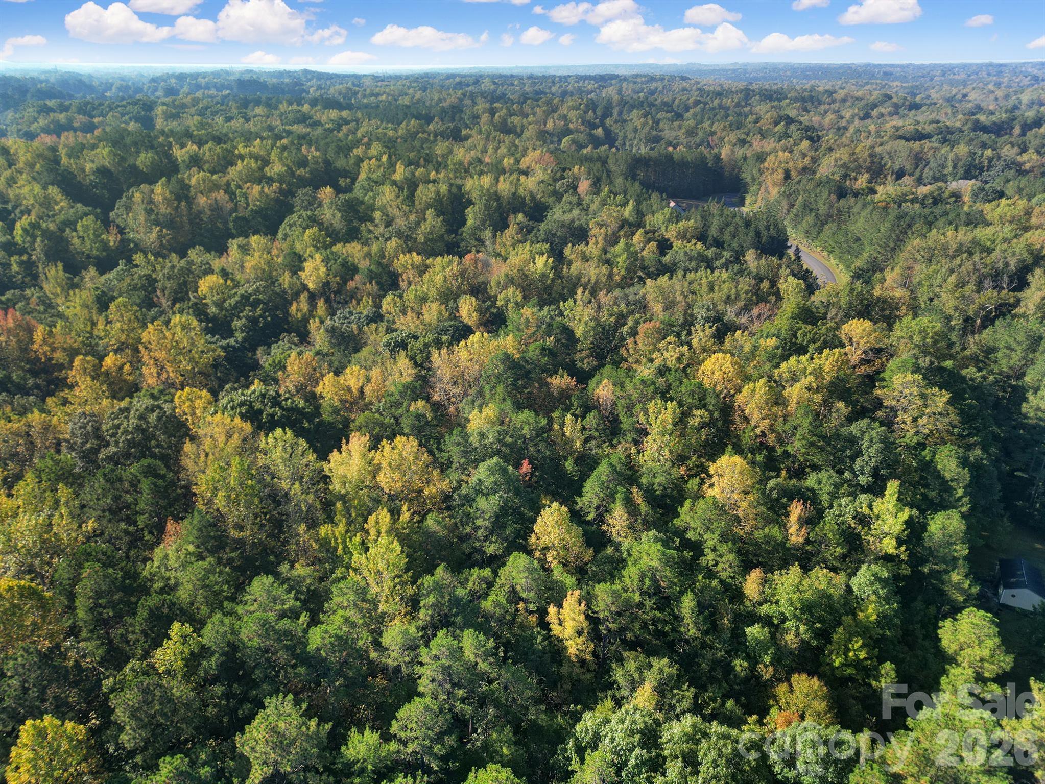 00 Shadybark Trail Property Photo 9