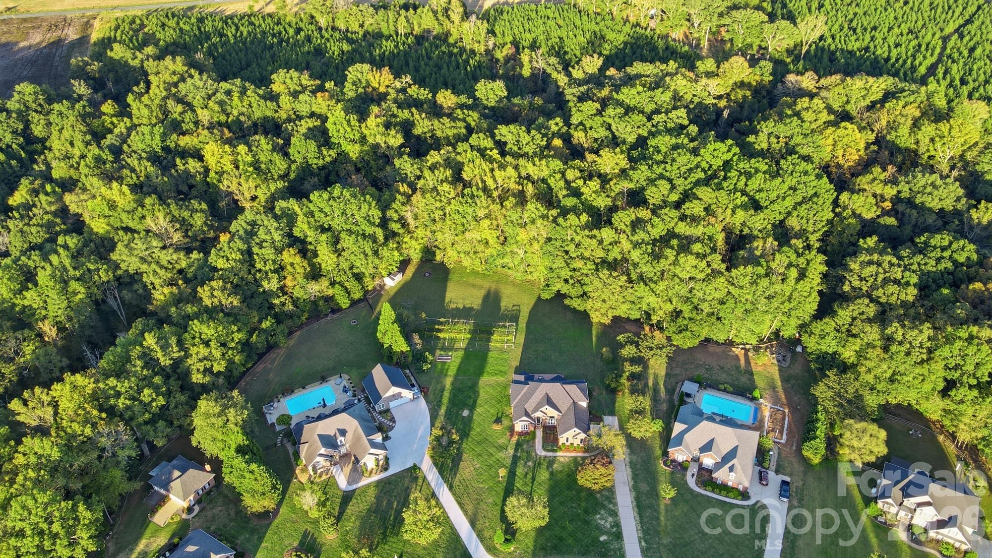 4414 Whitetail Lane Property Photo 4