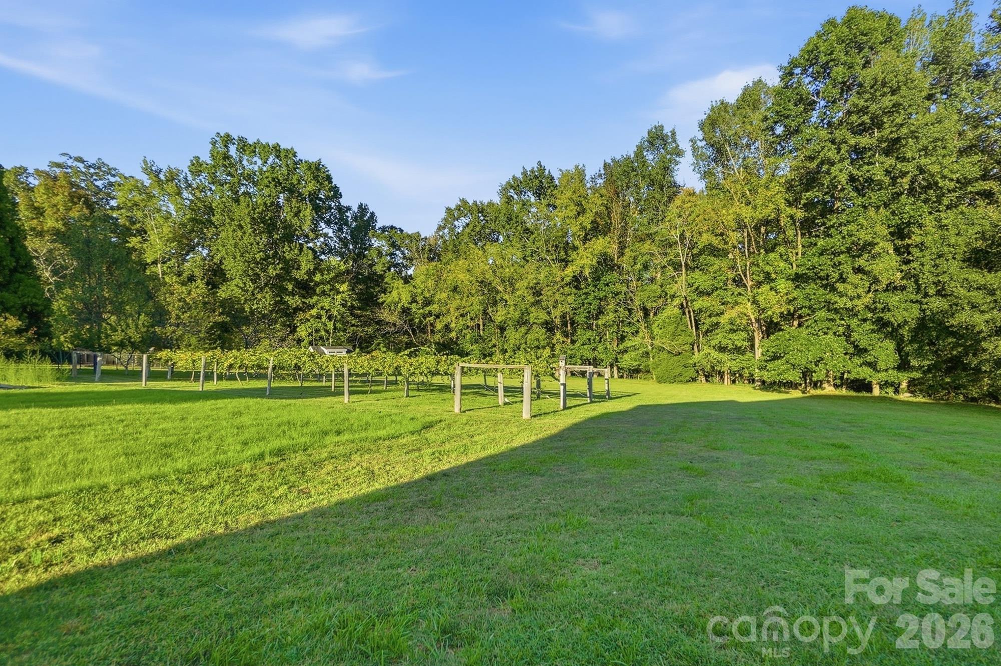 4414 Whitetail Lane Property Photo 45