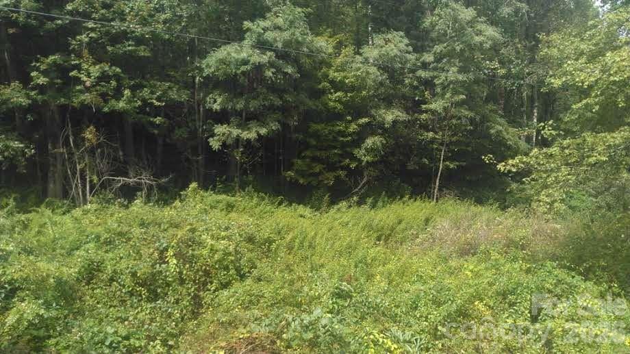 7360 Nc 183 Highway Property Photo 6