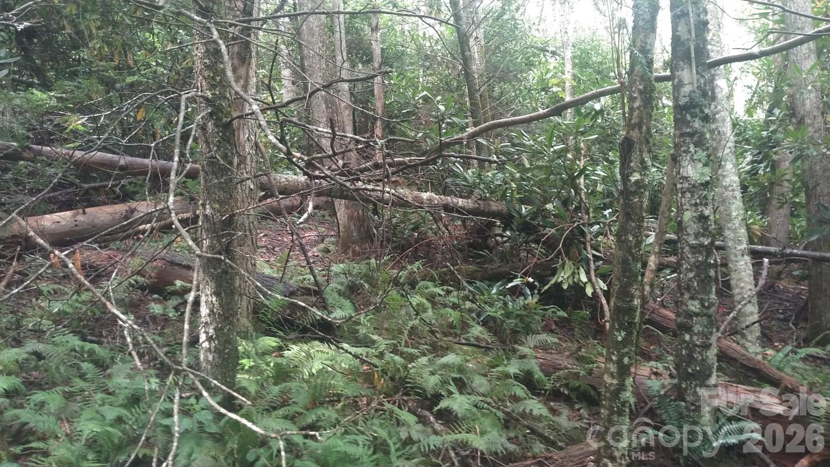 7360 Nc 183 Highway Property Photo 7