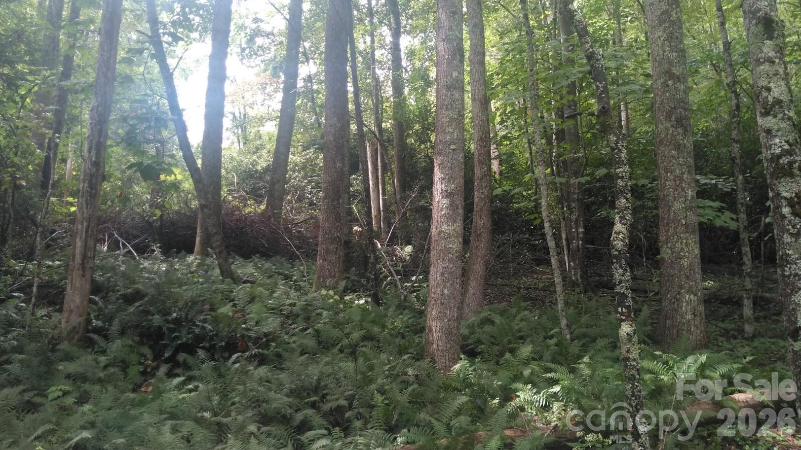7360 Nc 183 Highway Property Photo 9