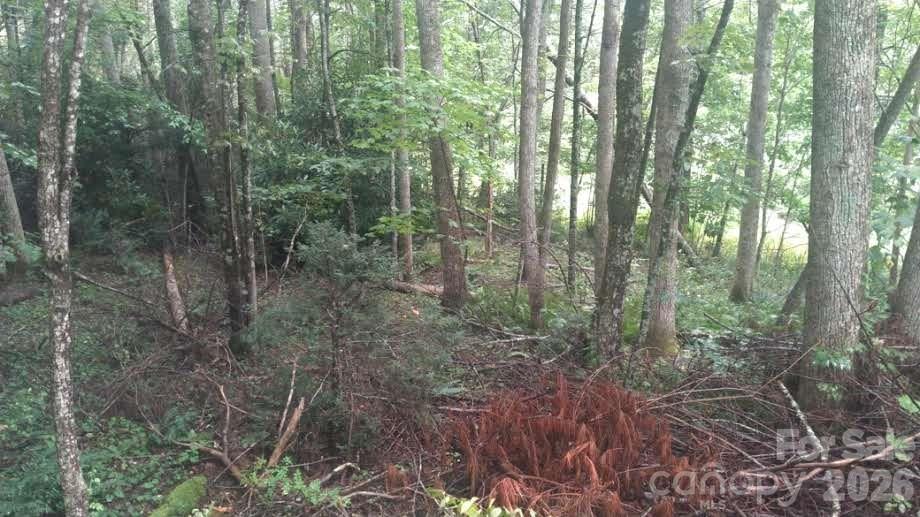 7360 Nc 183 Highway Property Photo 15